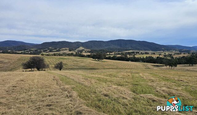 Lot 13 DP1102840 Slaters Lane CANDELO NSW 2550