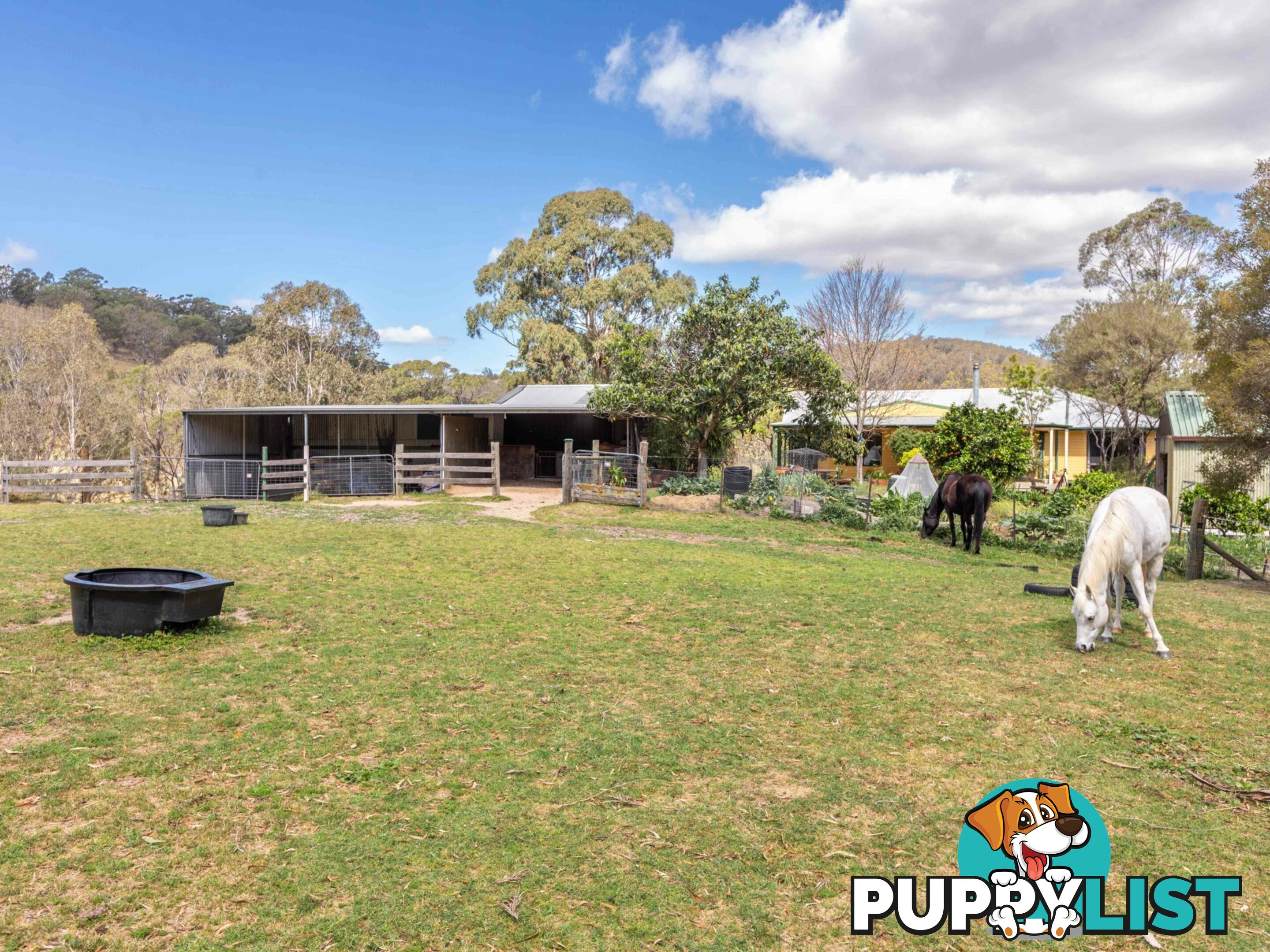 179 Hawks Head Road BROGO NSW 2550