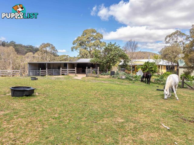 179 Hawks Head Road BROGO NSW 2550