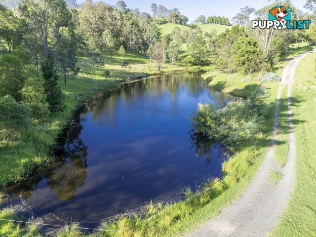 179 Hawks Head Road BROGO NSW 2550