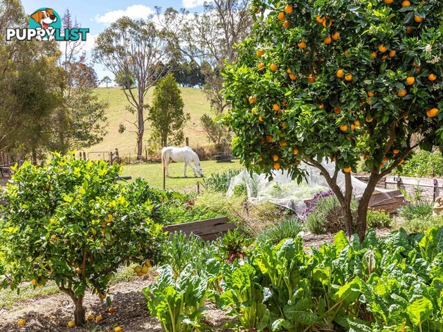 179 Hawks Head Road BROGO NSW 2550