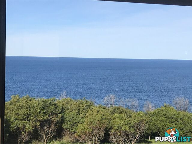 2 Bay Street TATHRA NSW 2550