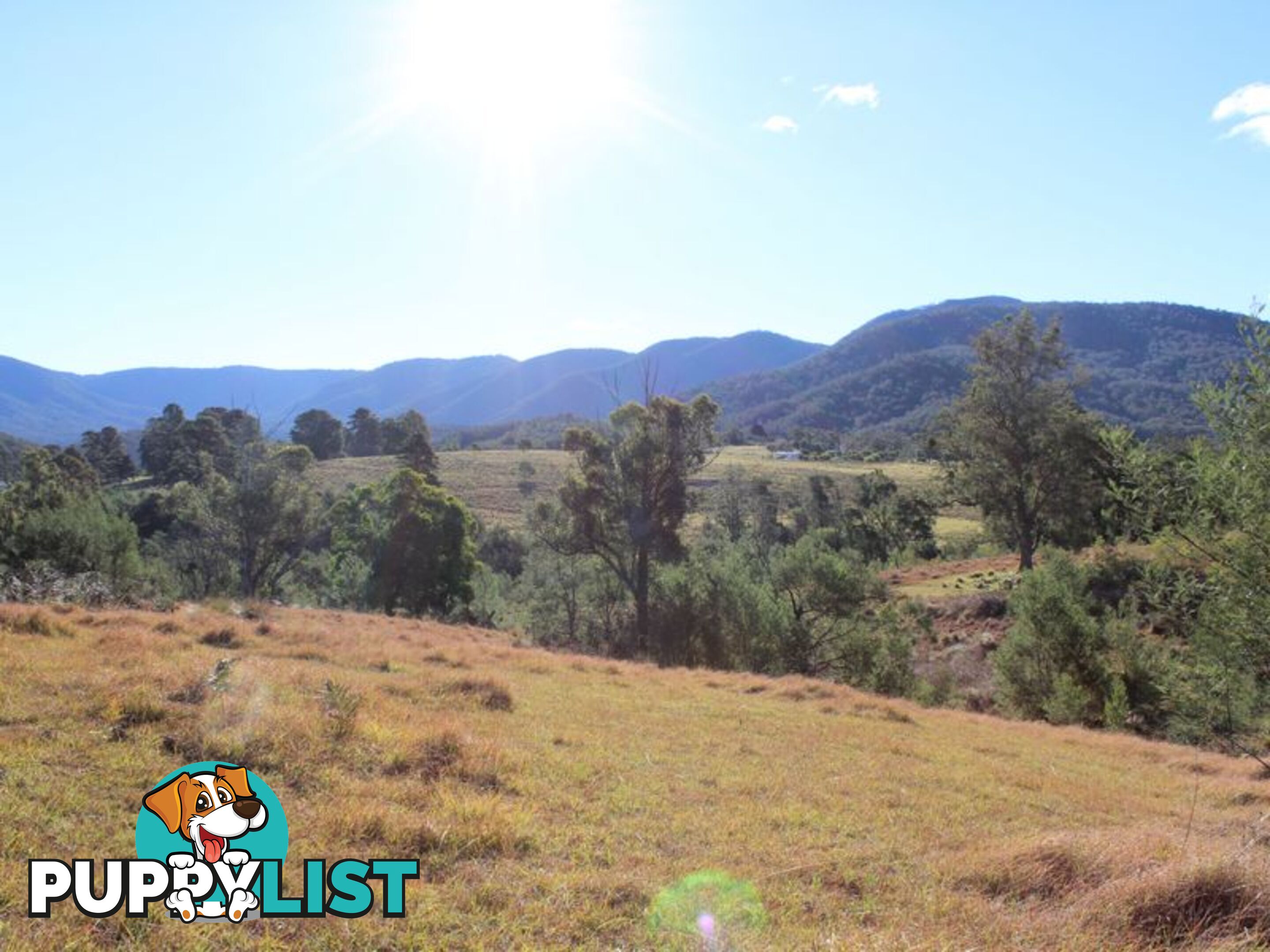 501 Yankees Gap Road BEMBOKA NSW 2550