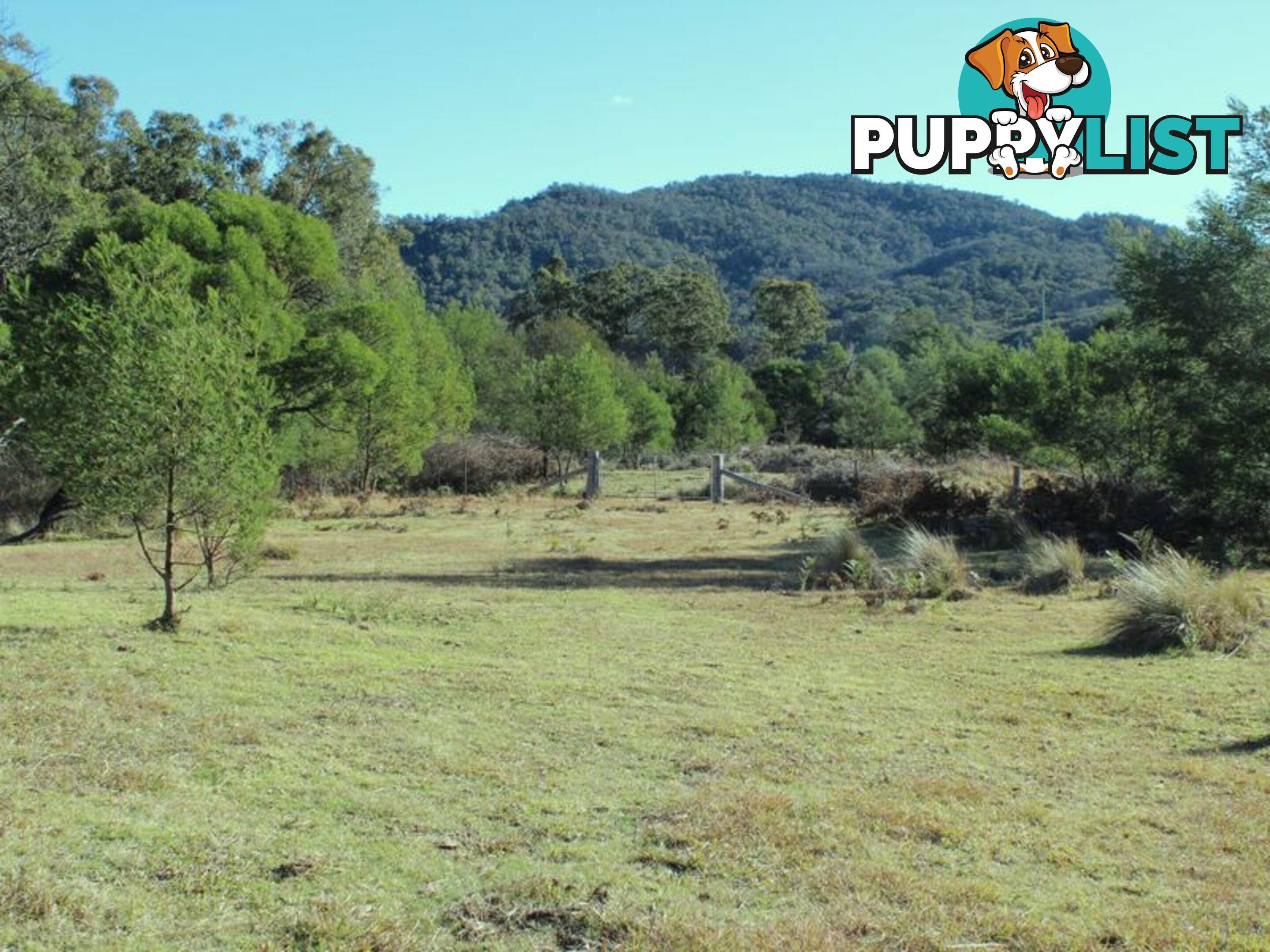 501 Yankees Gap Road BEMBOKA NSW 2550