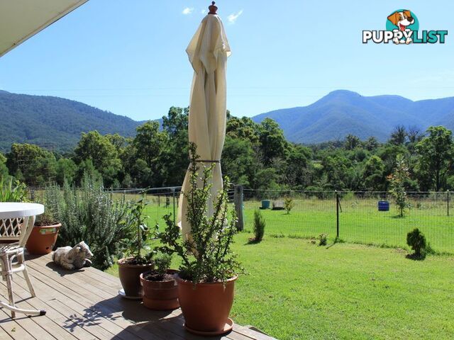 501 Yankees Gap Road BEMBOKA NSW 2550