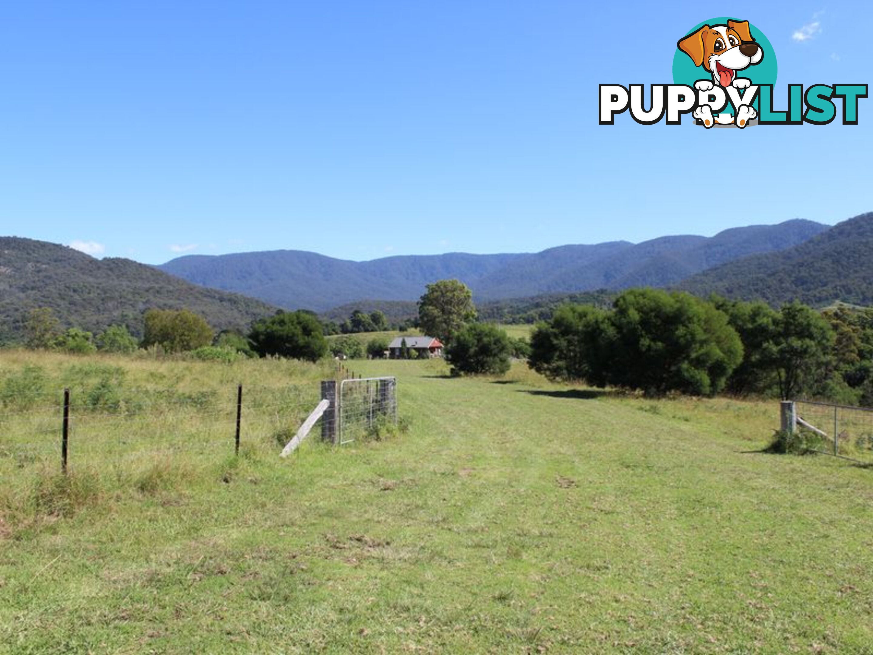 501 Yankees Gap Road BEMBOKA NSW 2550