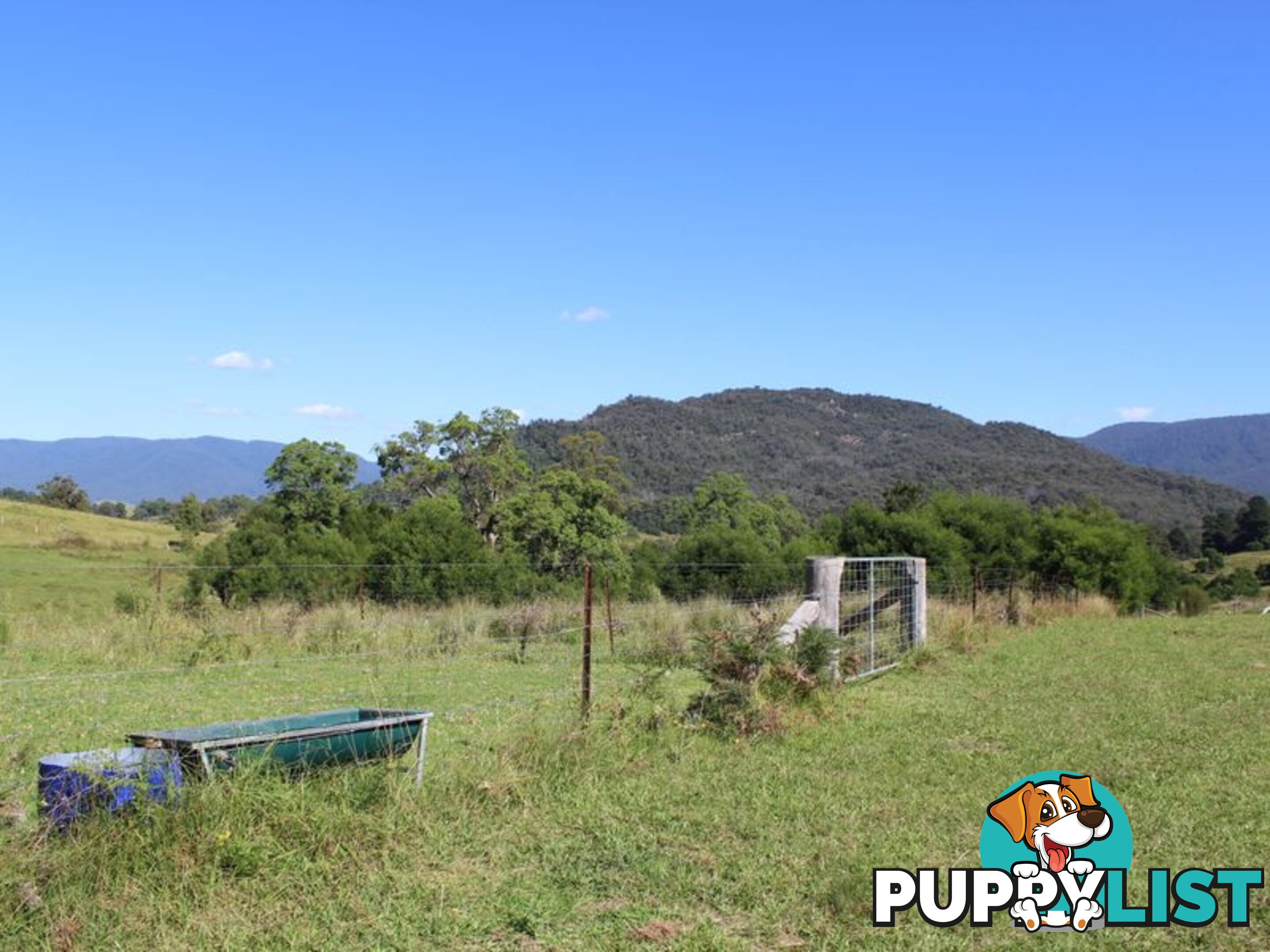 501 Yankees Gap Road BEMBOKA NSW 2550