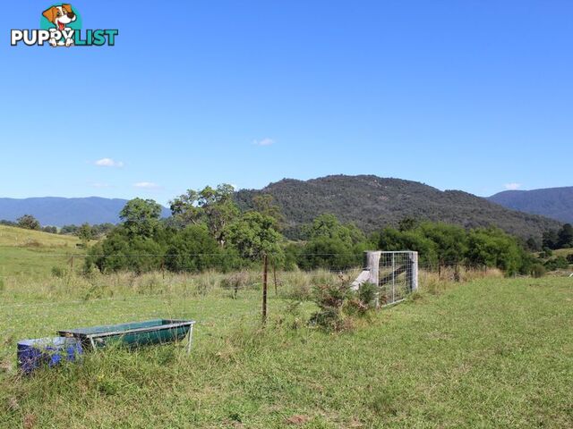 501 Yankees Gap Road BEMBOKA NSW 2550