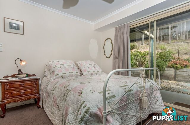 10 Ferntree Lane WALLAGOOT NSW 2550