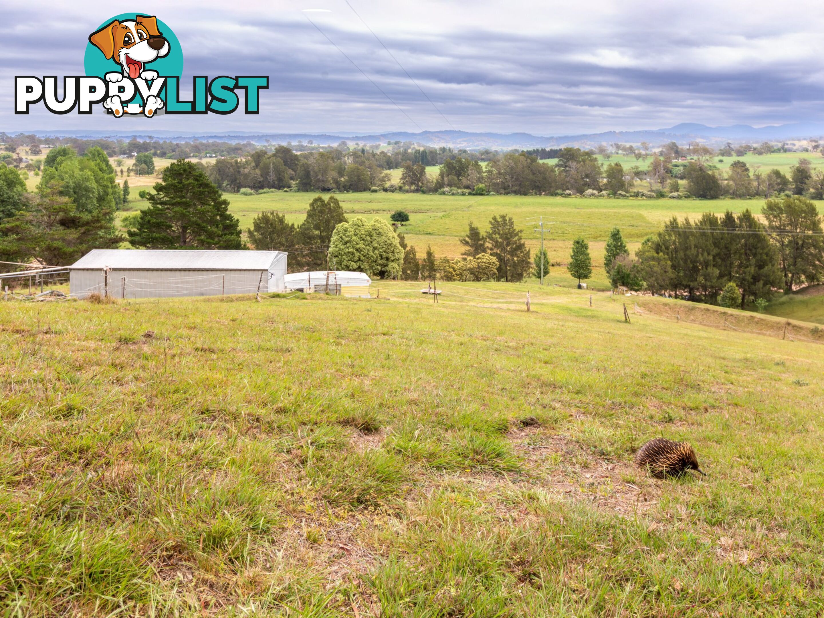 144 Murrays Flat Road TARRAGANDA NSW 2550