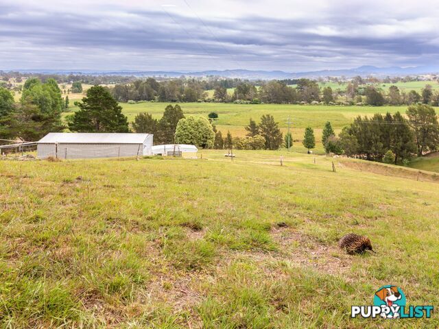 144 Murrays Flat Road TARRAGANDA NSW 2550