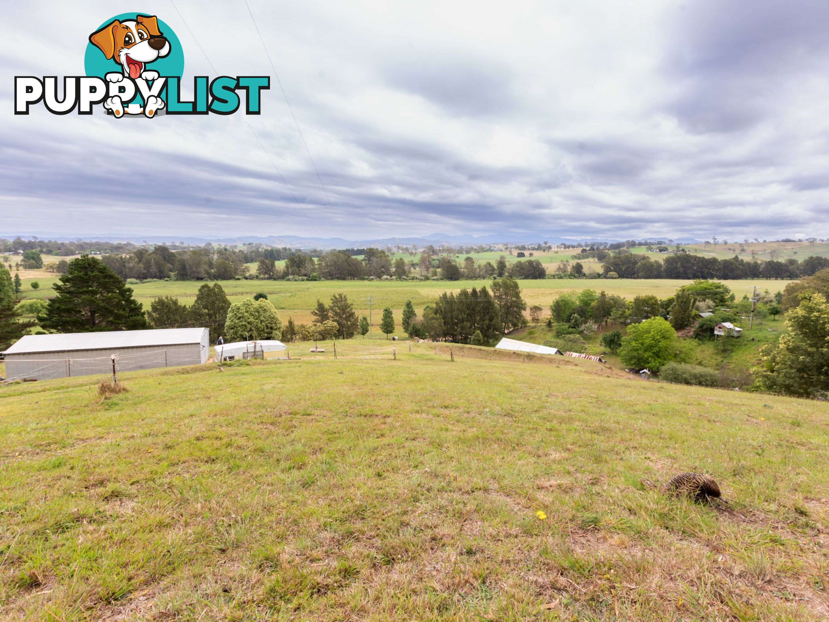 144 Murrays Flat Road TARRAGANDA NSW 2550