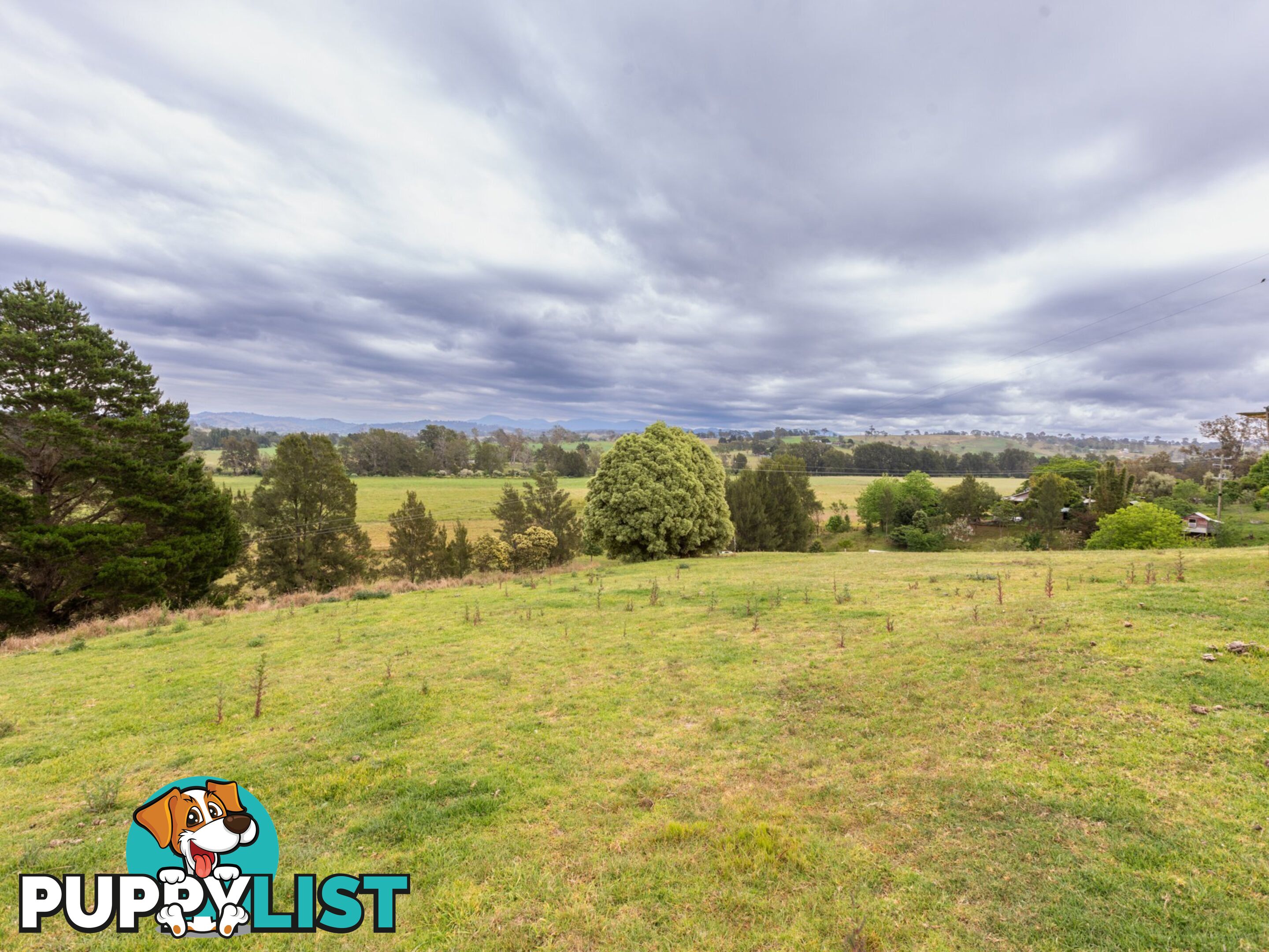 144 Murrays Flat Road TARRAGANDA NSW 2550