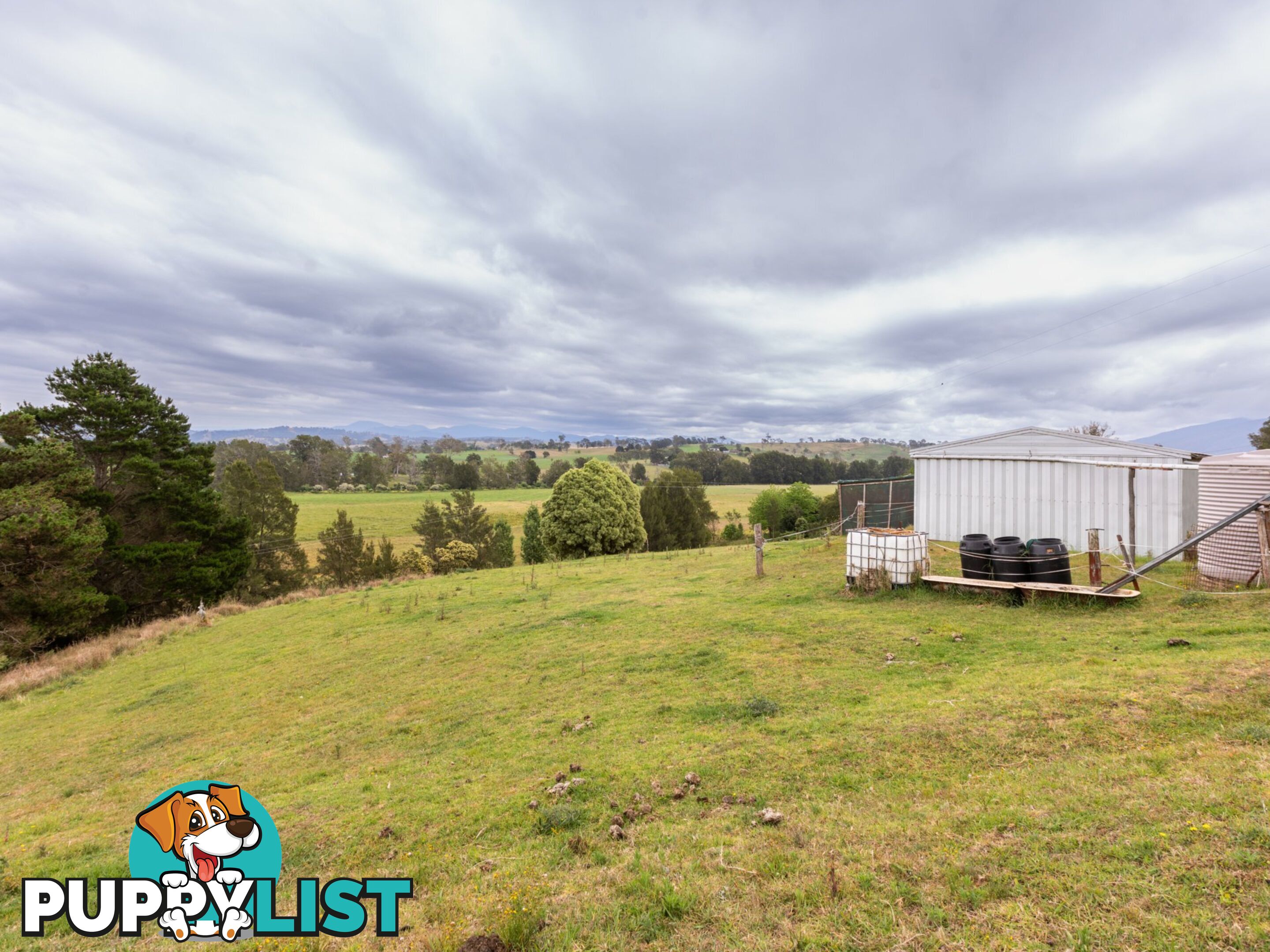 144 Murrays Flat Road TARRAGANDA NSW 2550