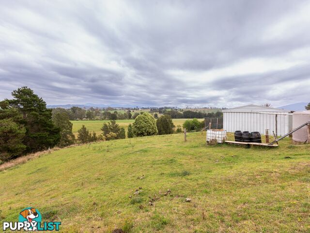 144 Murrays Flat Road TARRAGANDA NSW 2550