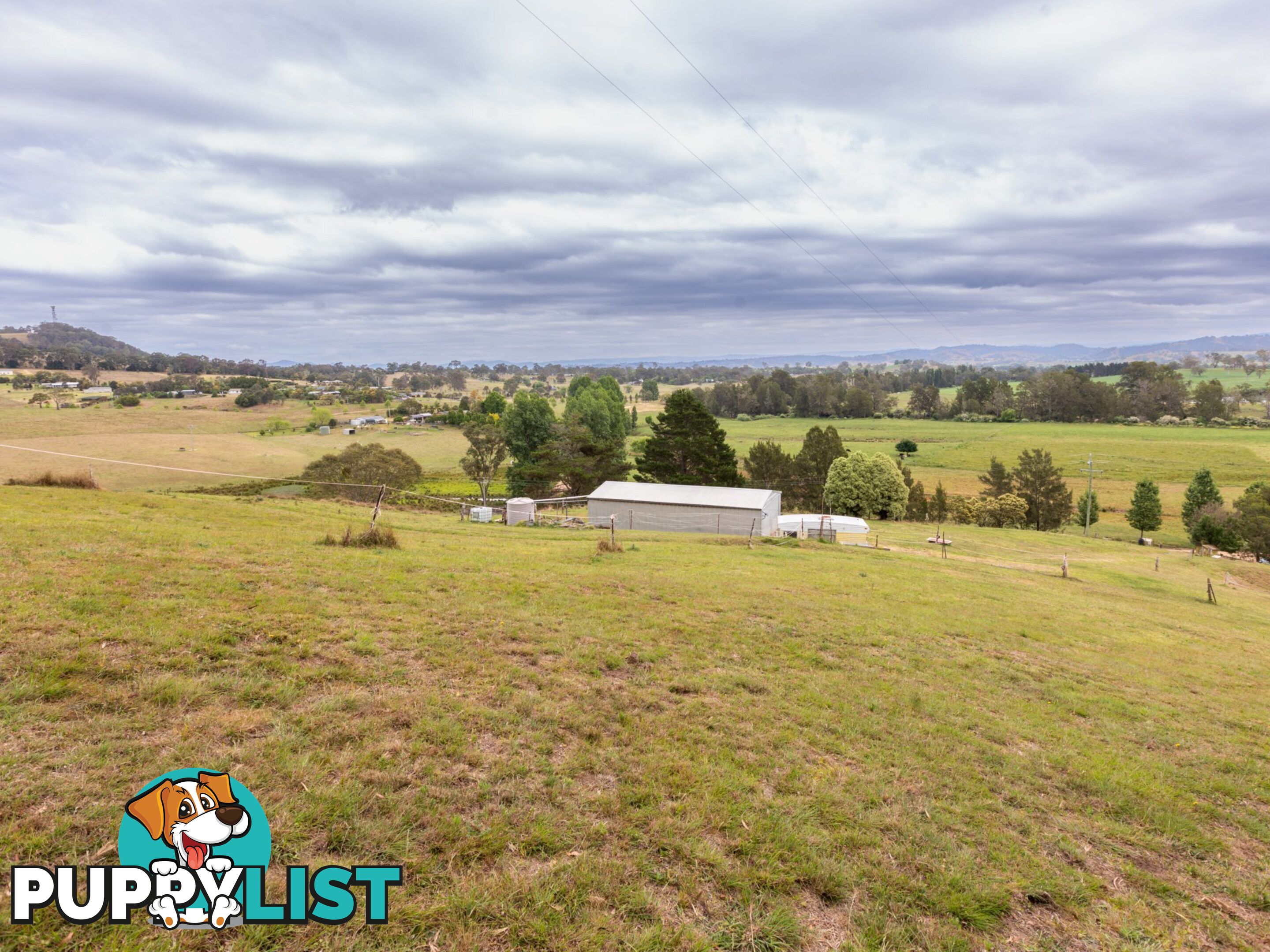 144 Murrays Flat Road TARRAGANDA NSW 2550