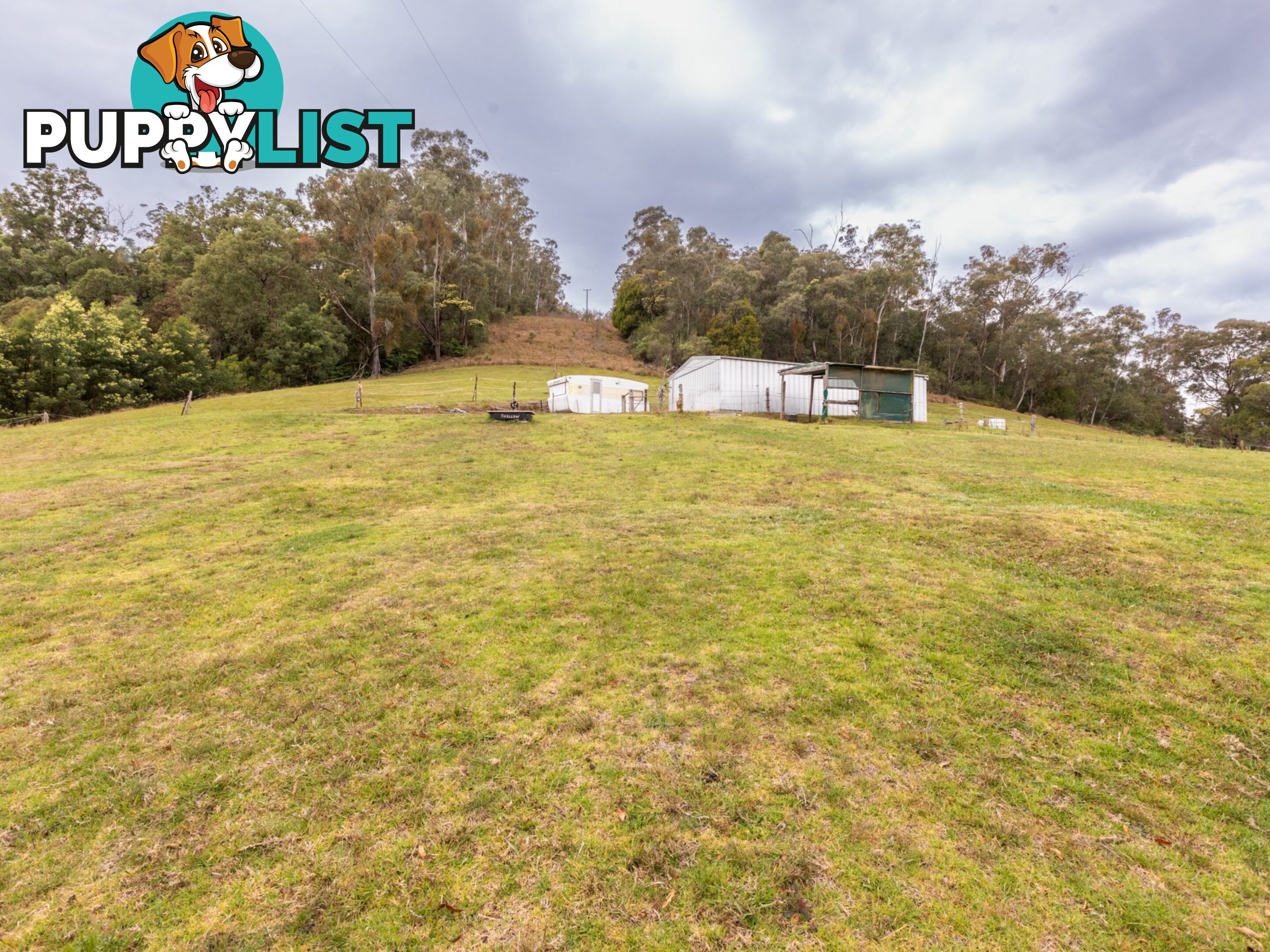 144 Murrays Flat Road TARRAGANDA NSW 2550