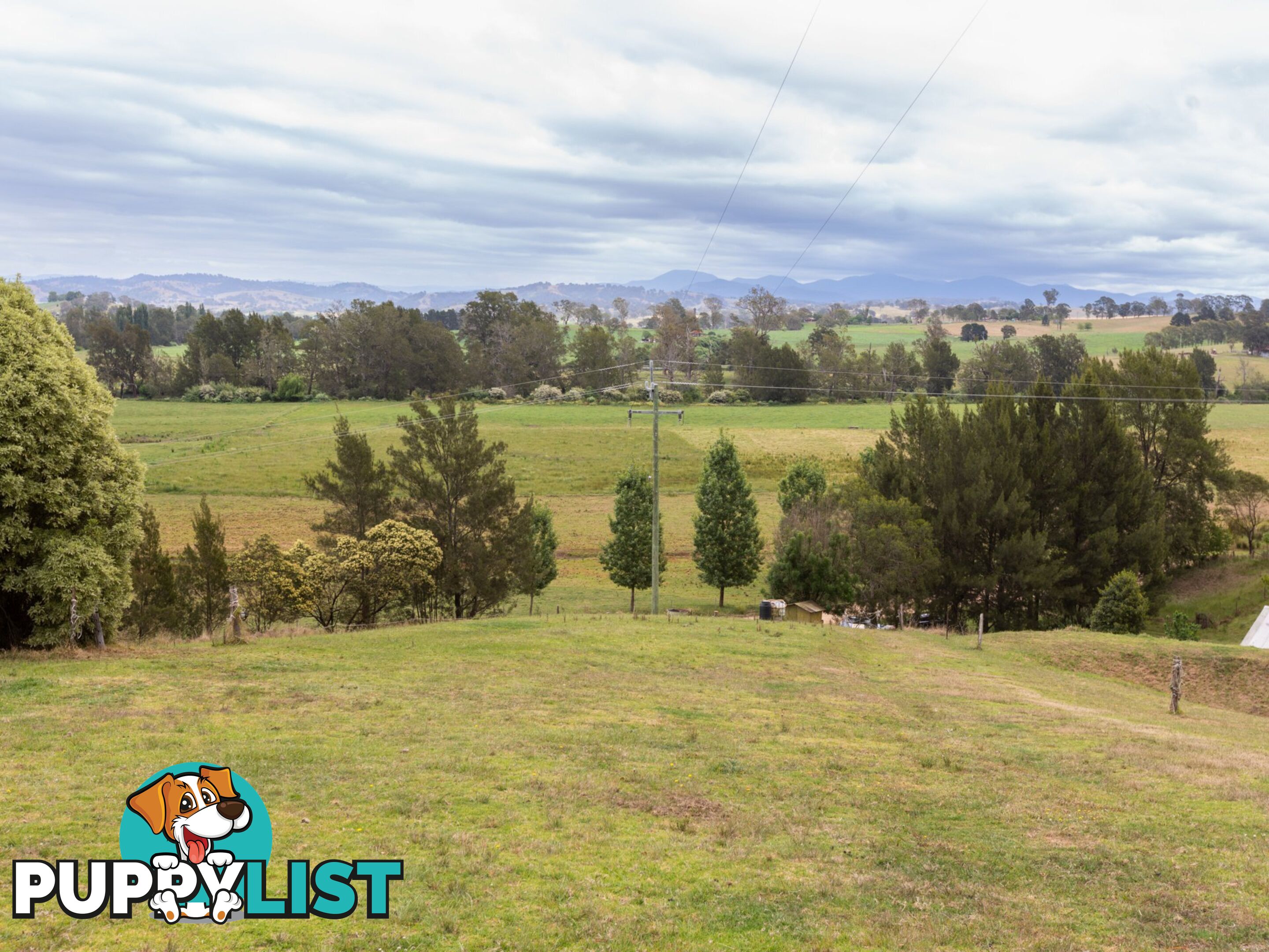 144 Murrays Flat Road TARRAGANDA NSW 2550