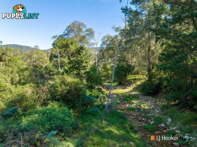 1086 Furners Road BEMBOKA NSW 2550