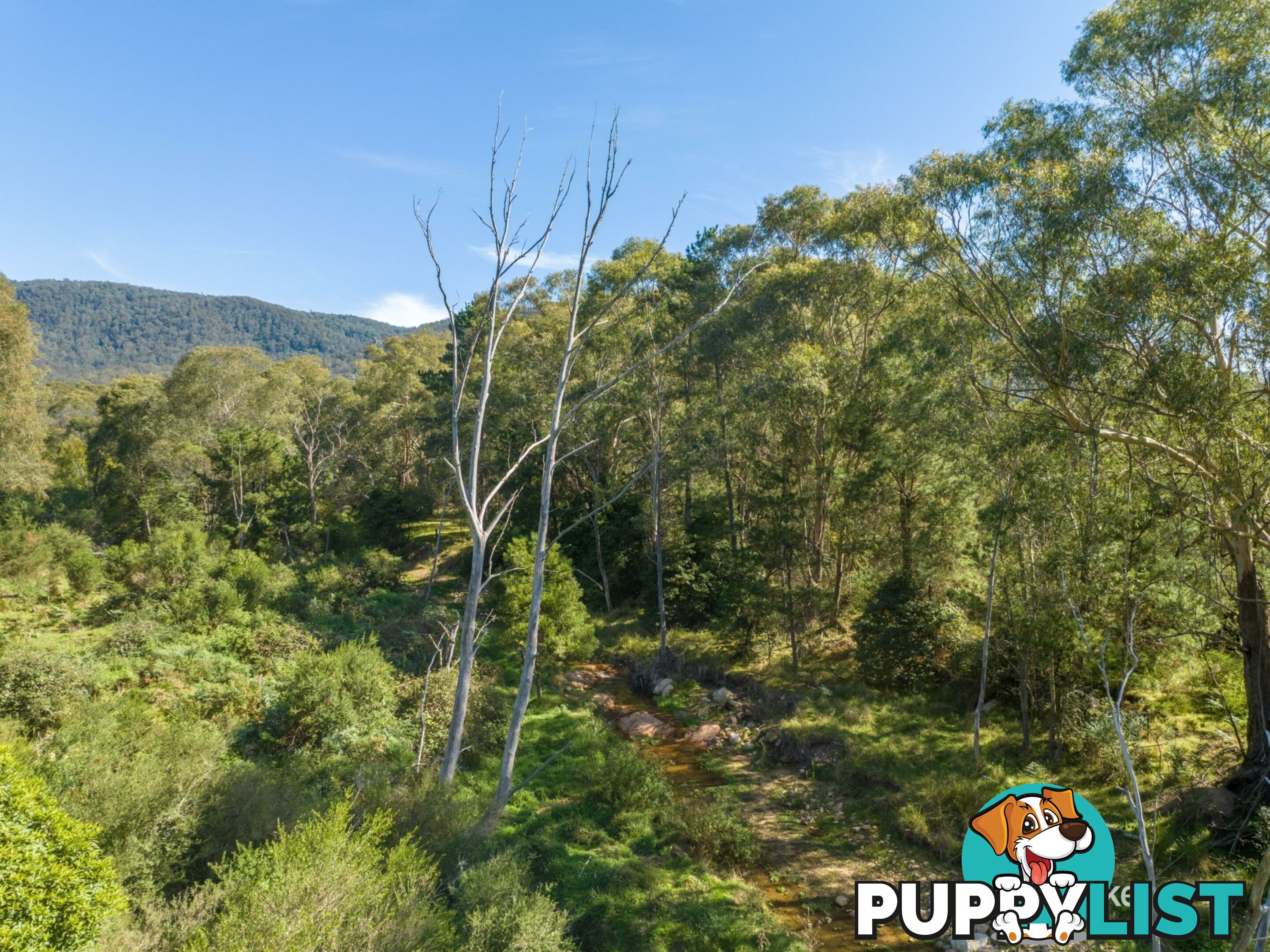 1086 Furners Road BEMBOKA NSW 2550