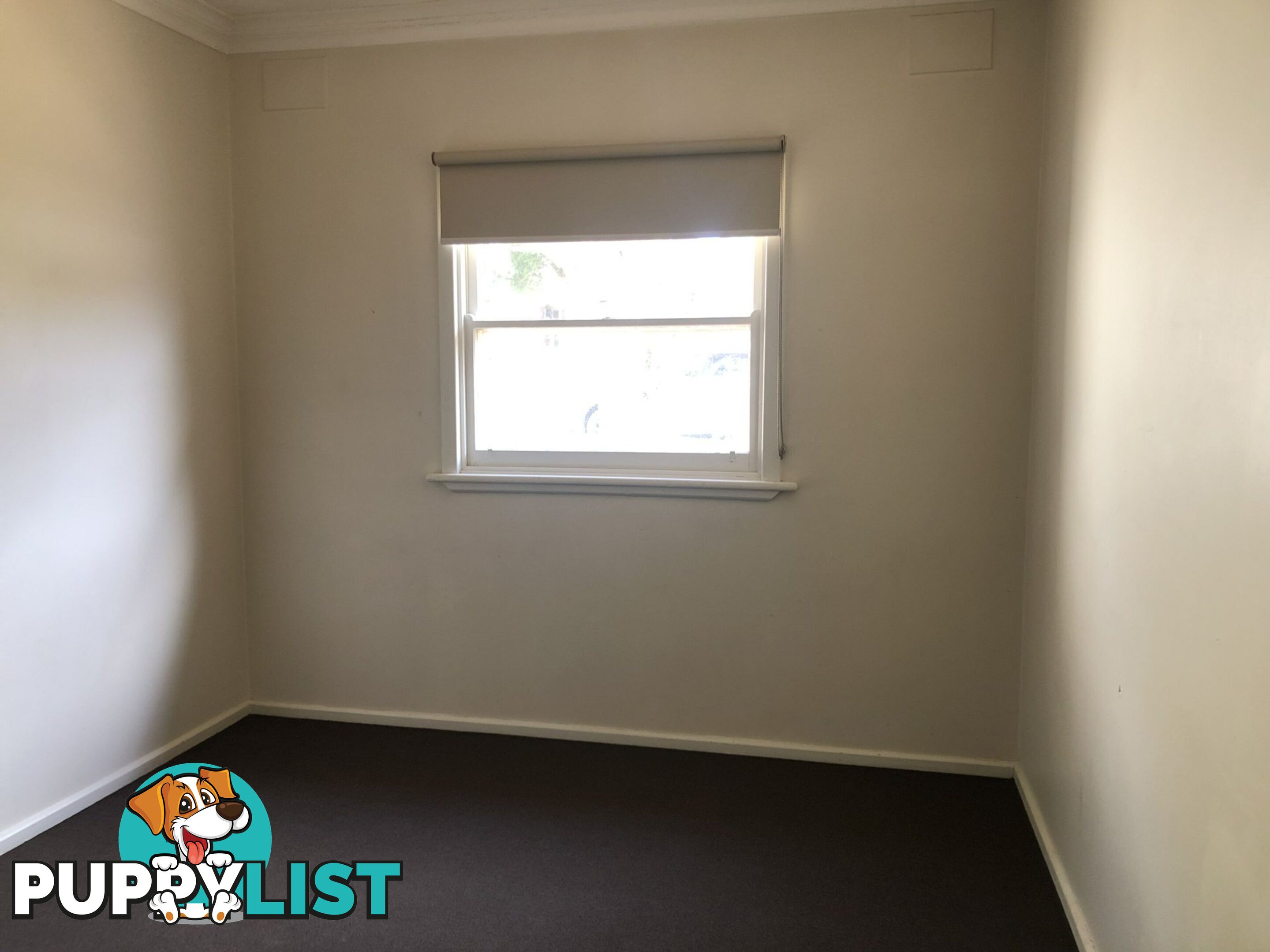 35 Carp Street BEGA NSW 2550