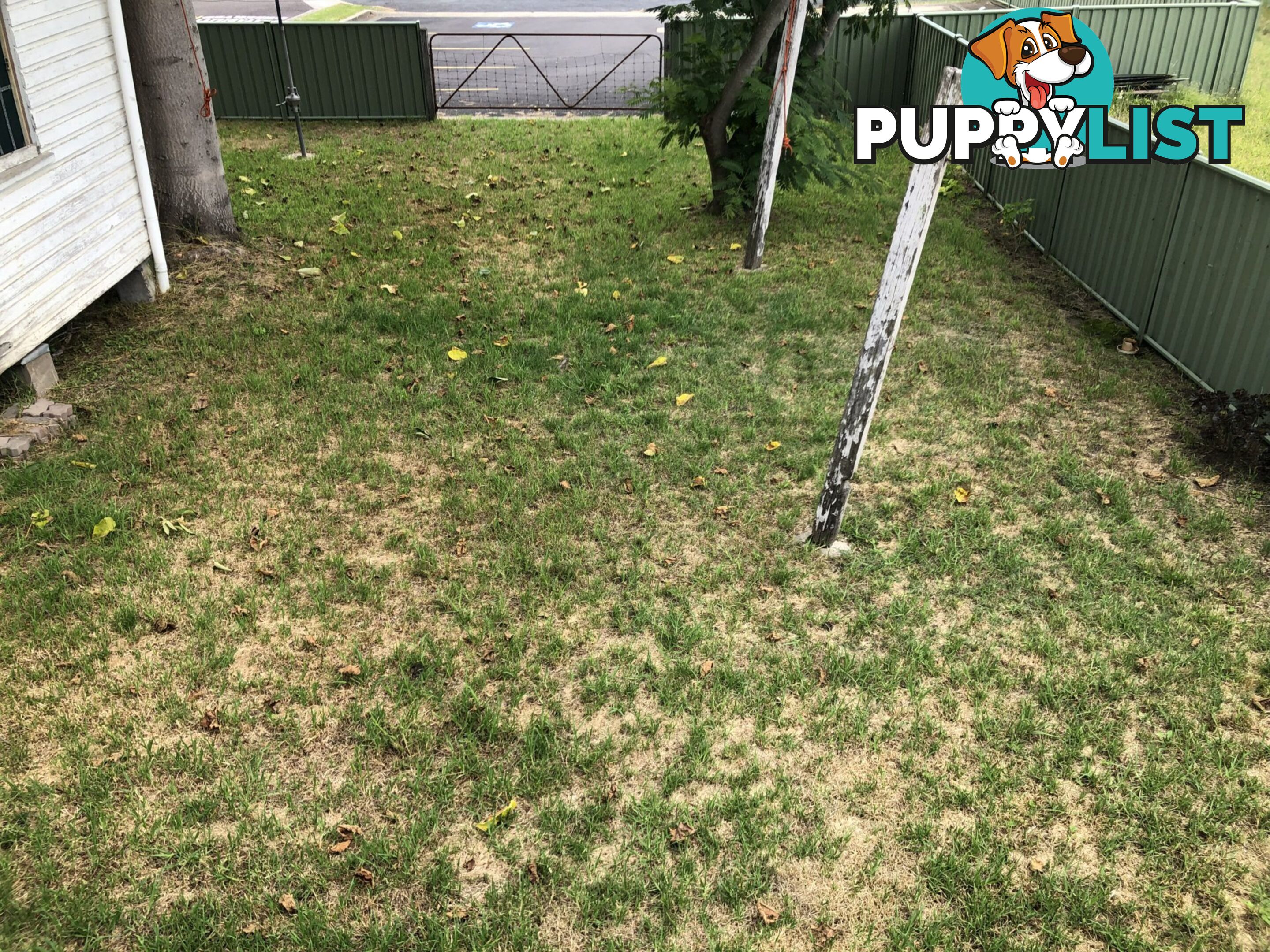 29 Parker Street BEGA NSW 2550