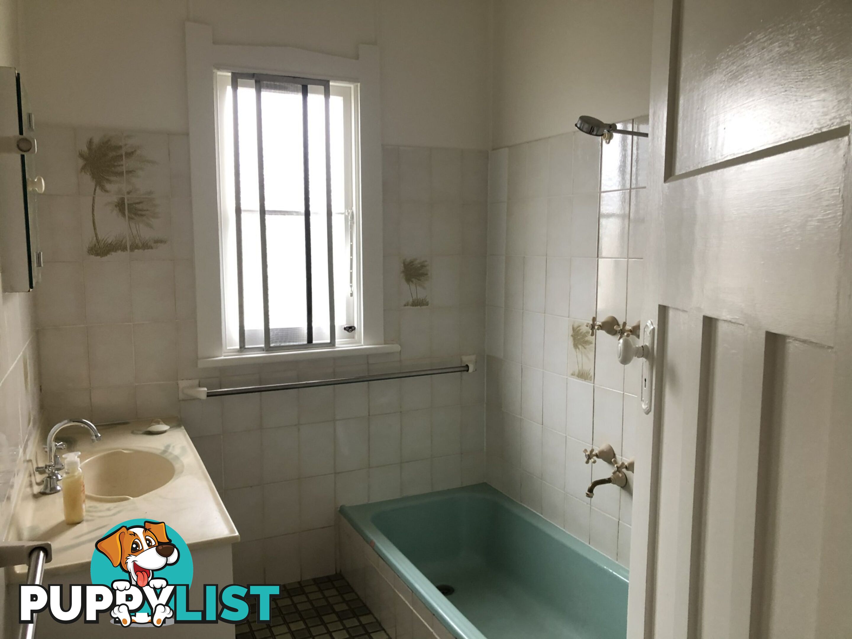 29 Parker Street BEGA NSW 2550