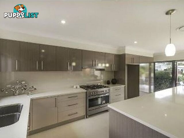 21 Bunderoo Circuit PIMPAMA QLD 4209