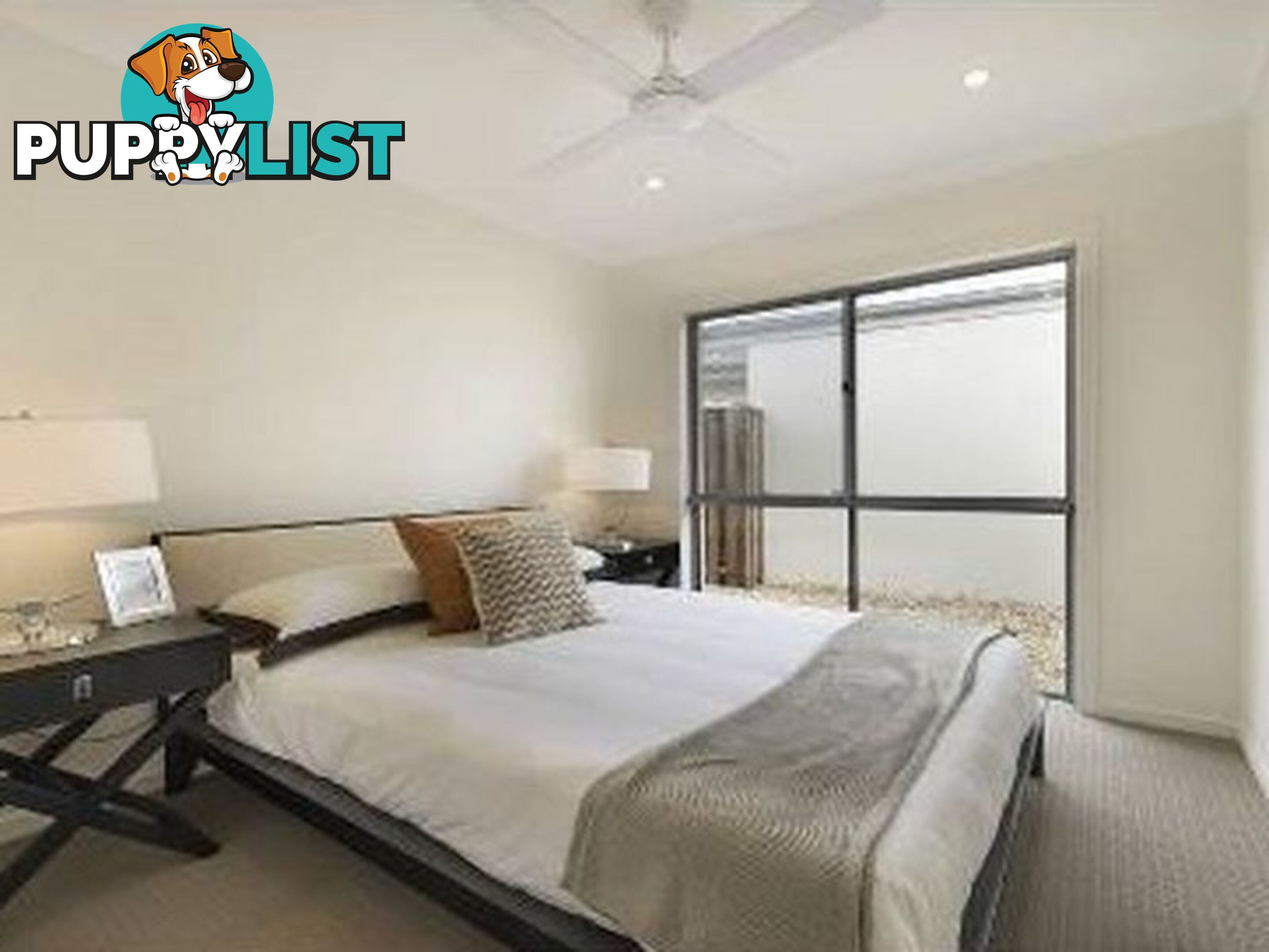 21 Bunderoo Circuit PIMPAMA QLD 4209