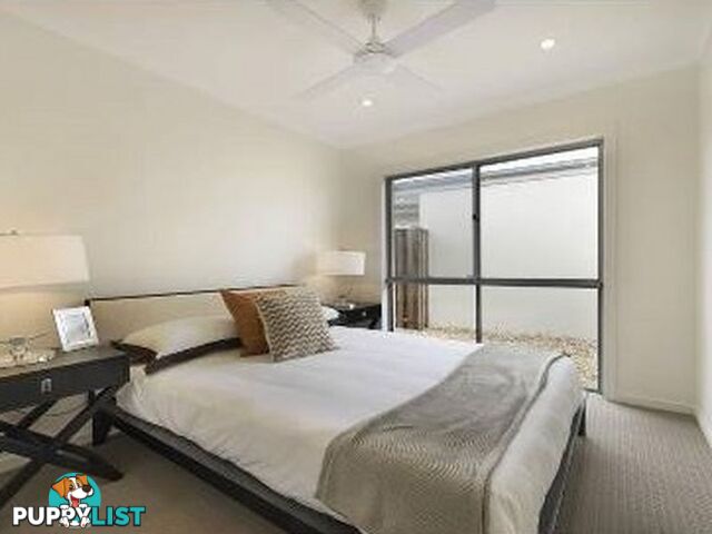 21 Bunderoo Circuit PIMPAMA QLD 4209