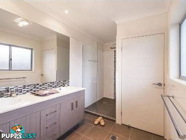 21 Bunderoo Circuit PIMPAMA QLD 4209