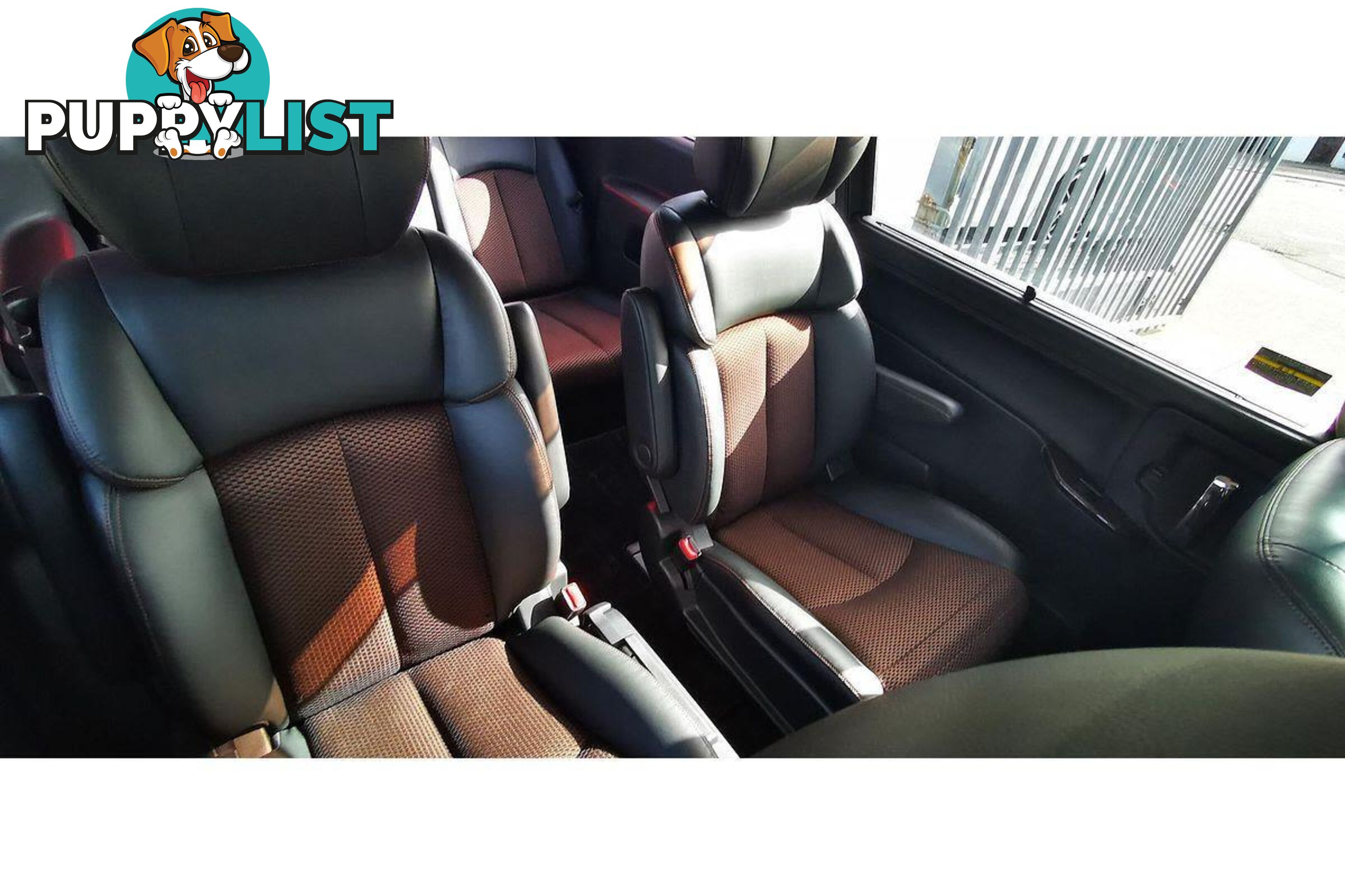 2010 NISSAN ELGRAND   OTHERCAR