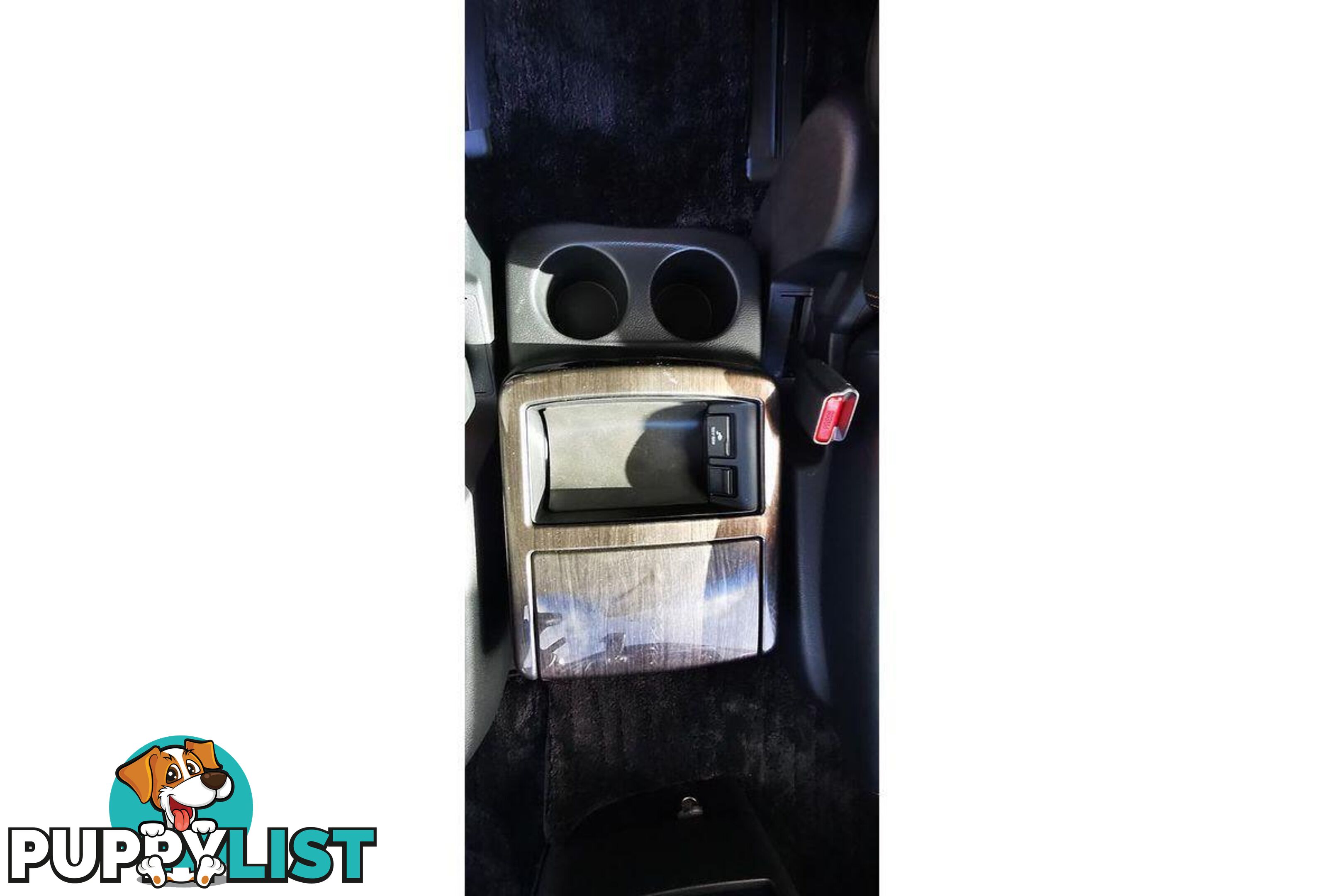 2010 NISSAN ELGRAND   OTHERCAR