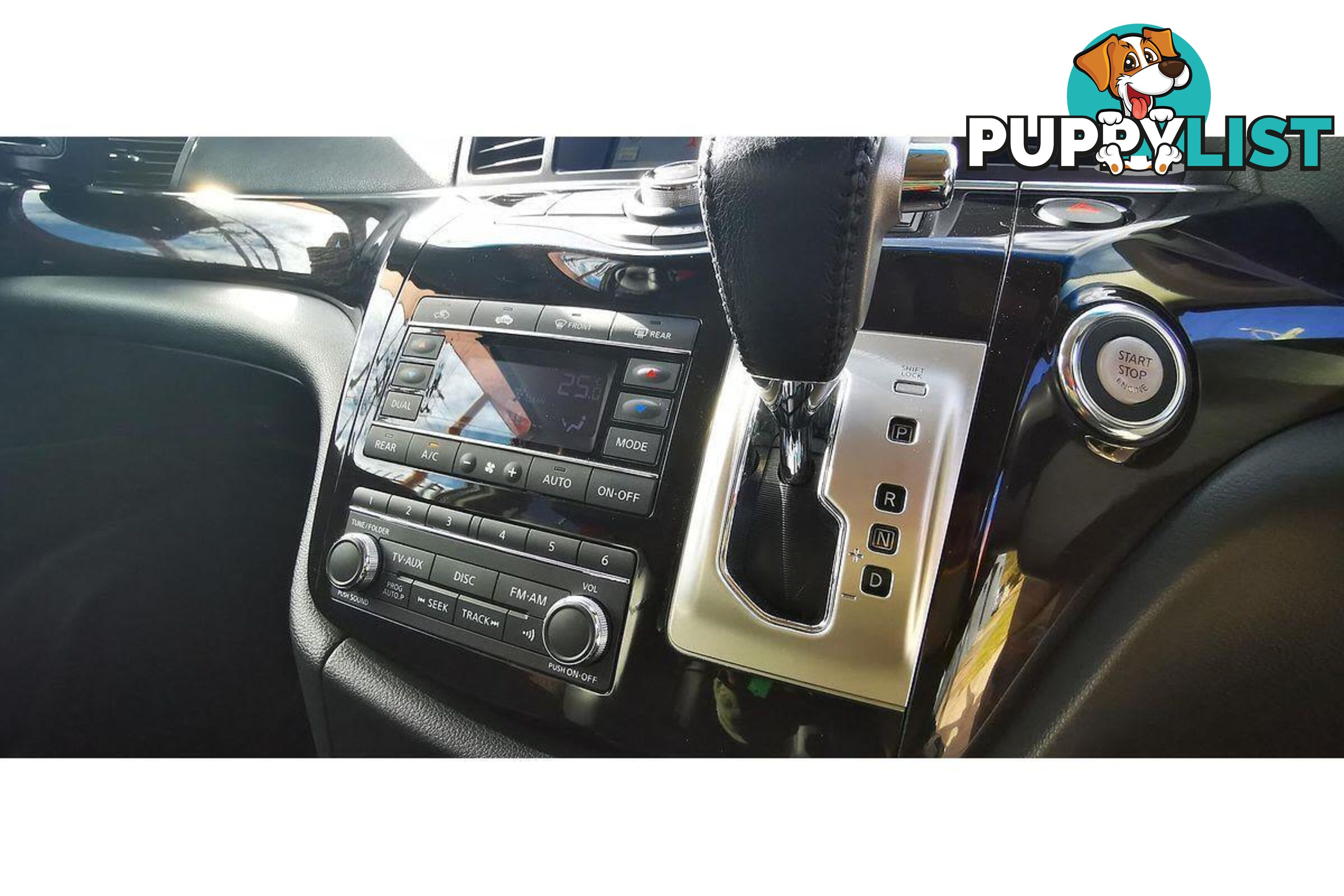 2010 NISSAN ELGRAND   OTHERCAR
