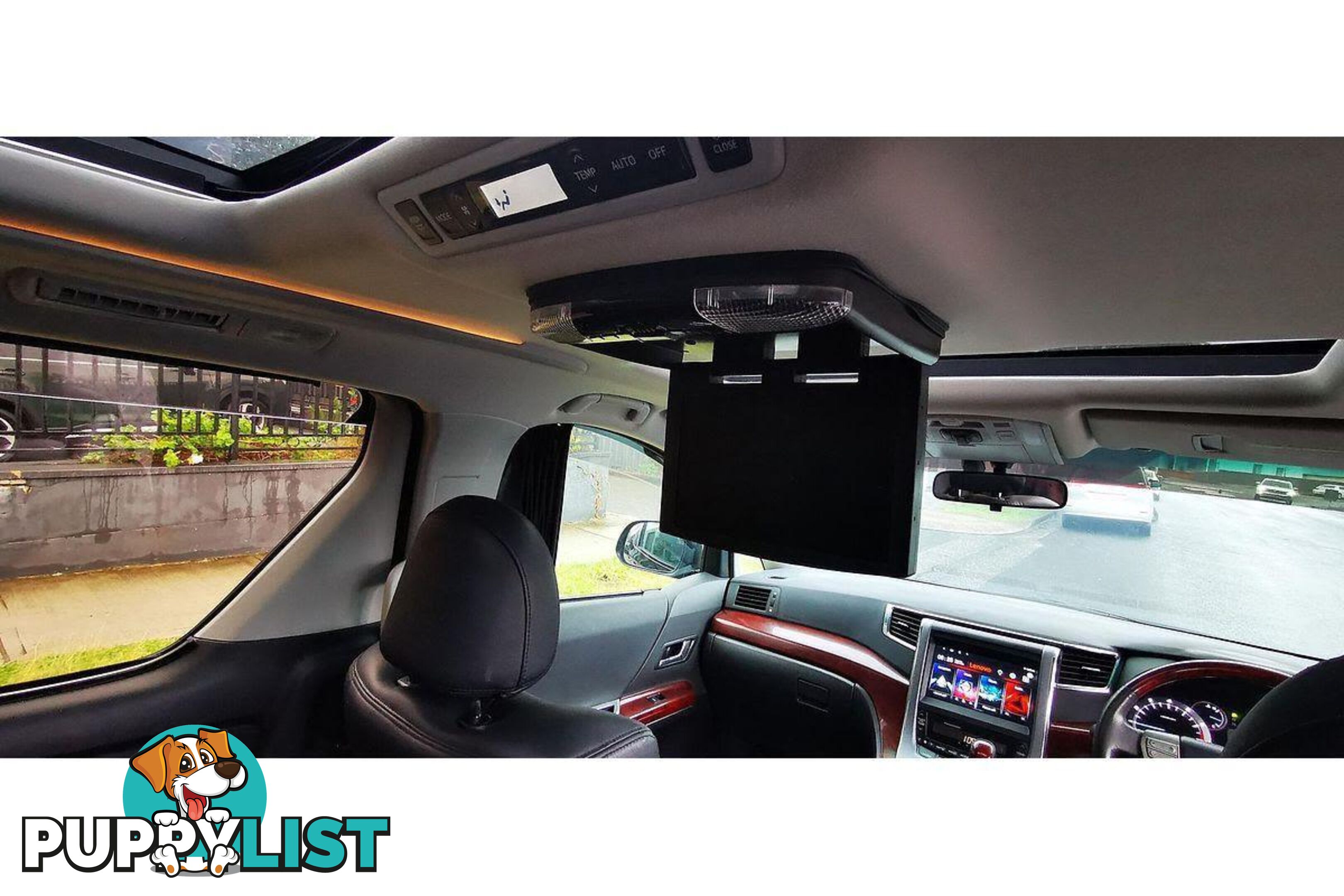 2010 TOYOTA ALPHARD   OTHERCAR