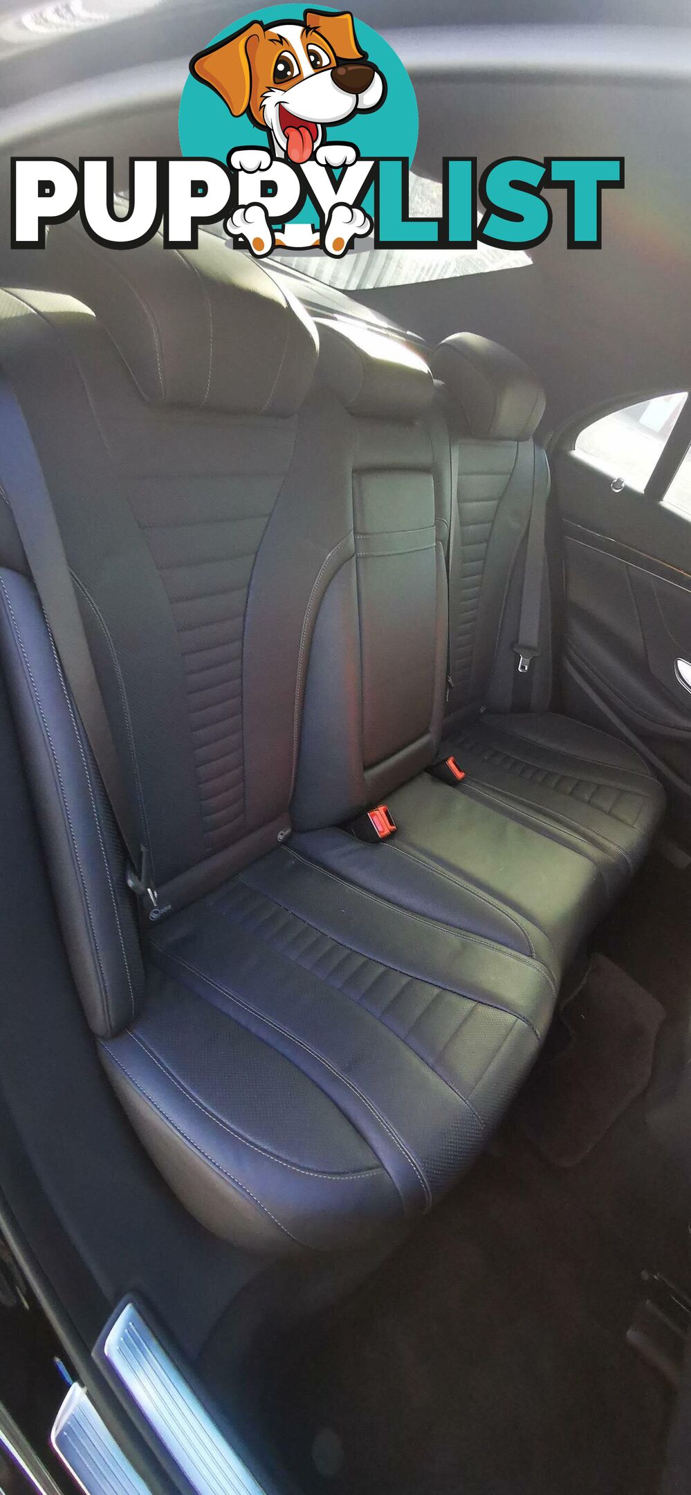 2019 MERCEDES-BENZ S-CLASS S450  SEDAN
