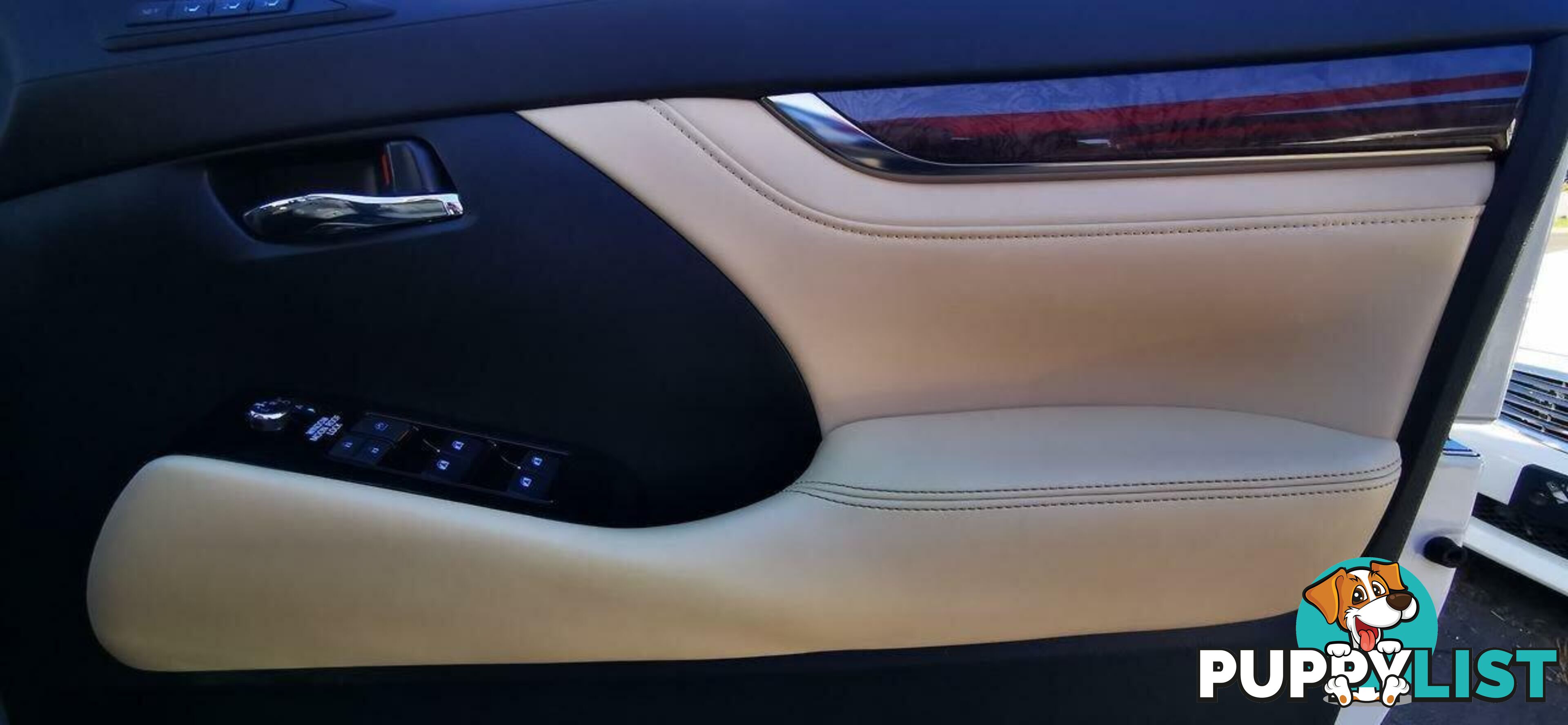 2021 TOYOTA ALPHARD EXECUTIVE LOUNGE S  COMMERCIAL