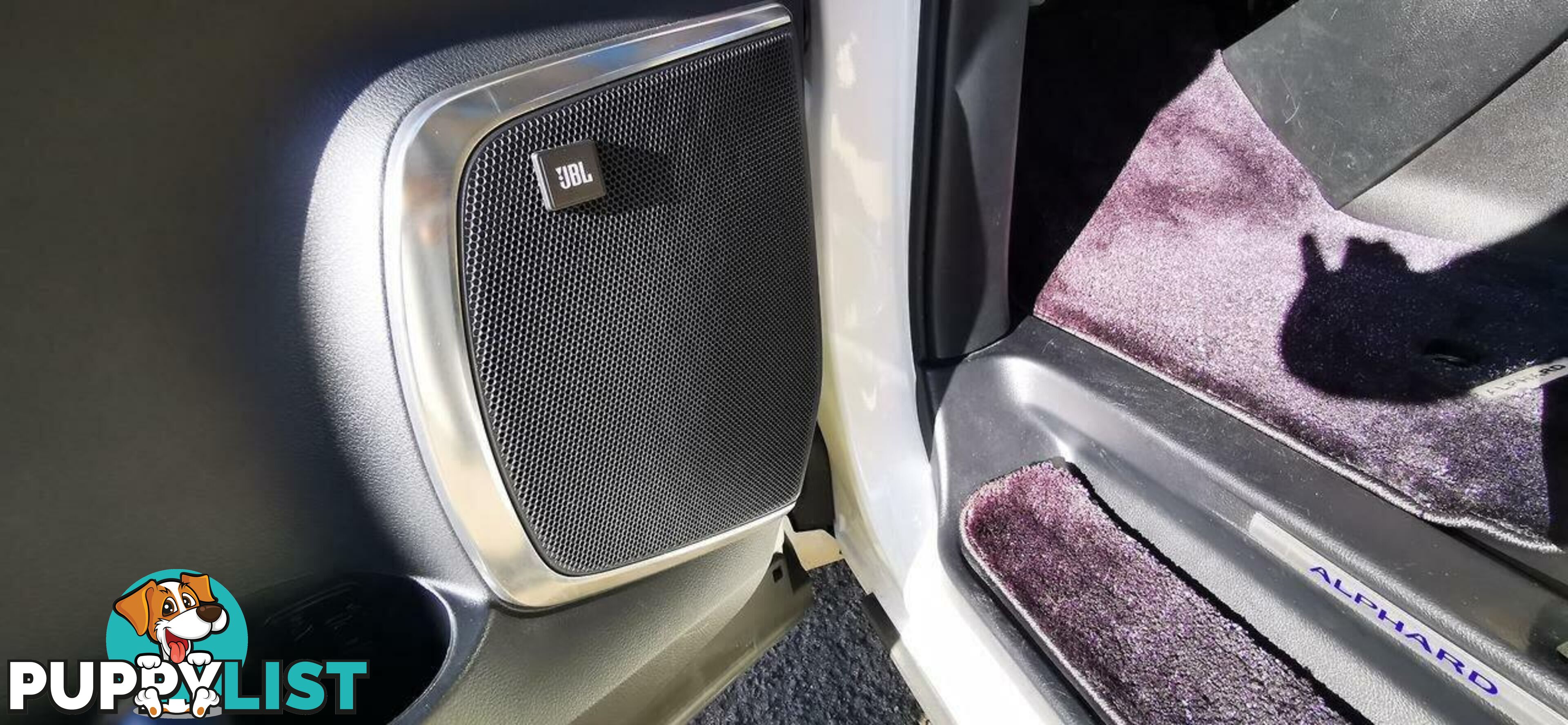 2021 TOYOTA ALPHARD EXECUTIVE LOUNGE S  COMMERCIAL