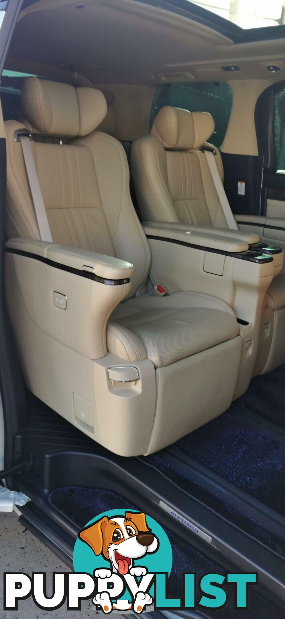 2021 TOYOTA ALPHARD EXECUTIVE LOUNGE S  COMMERCIAL