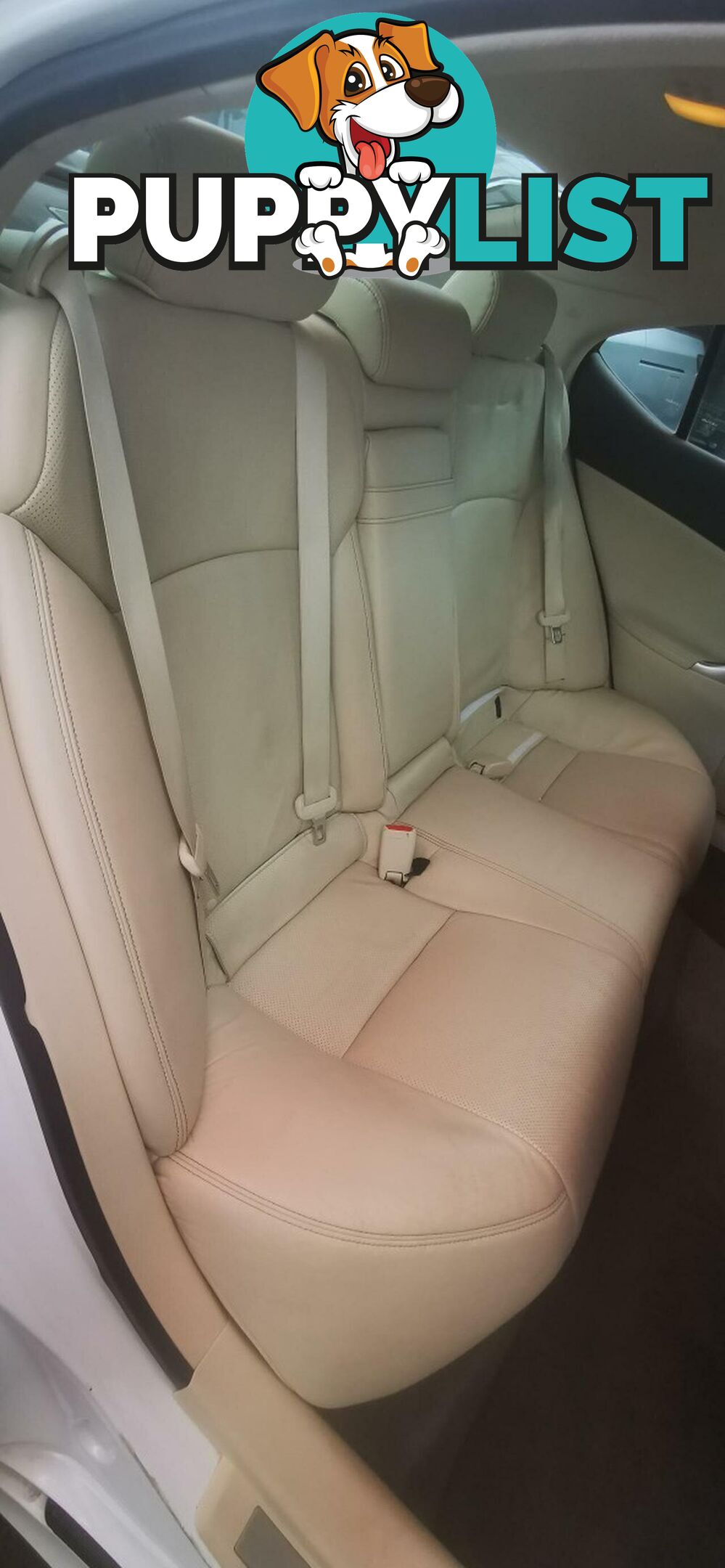 2008 LEXUS IS IS350  -