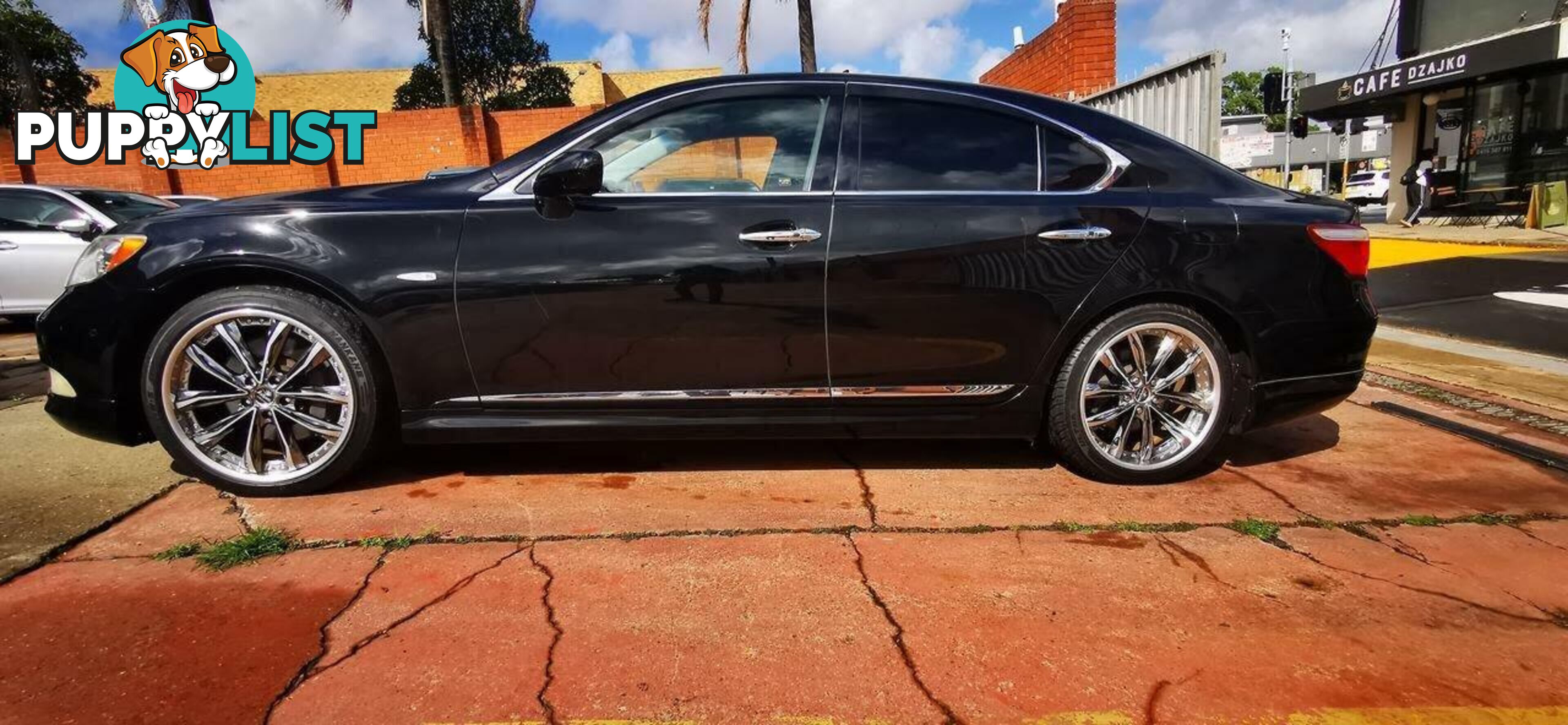 2009 LEXUS LS460  USF40R MY10 SEDAN