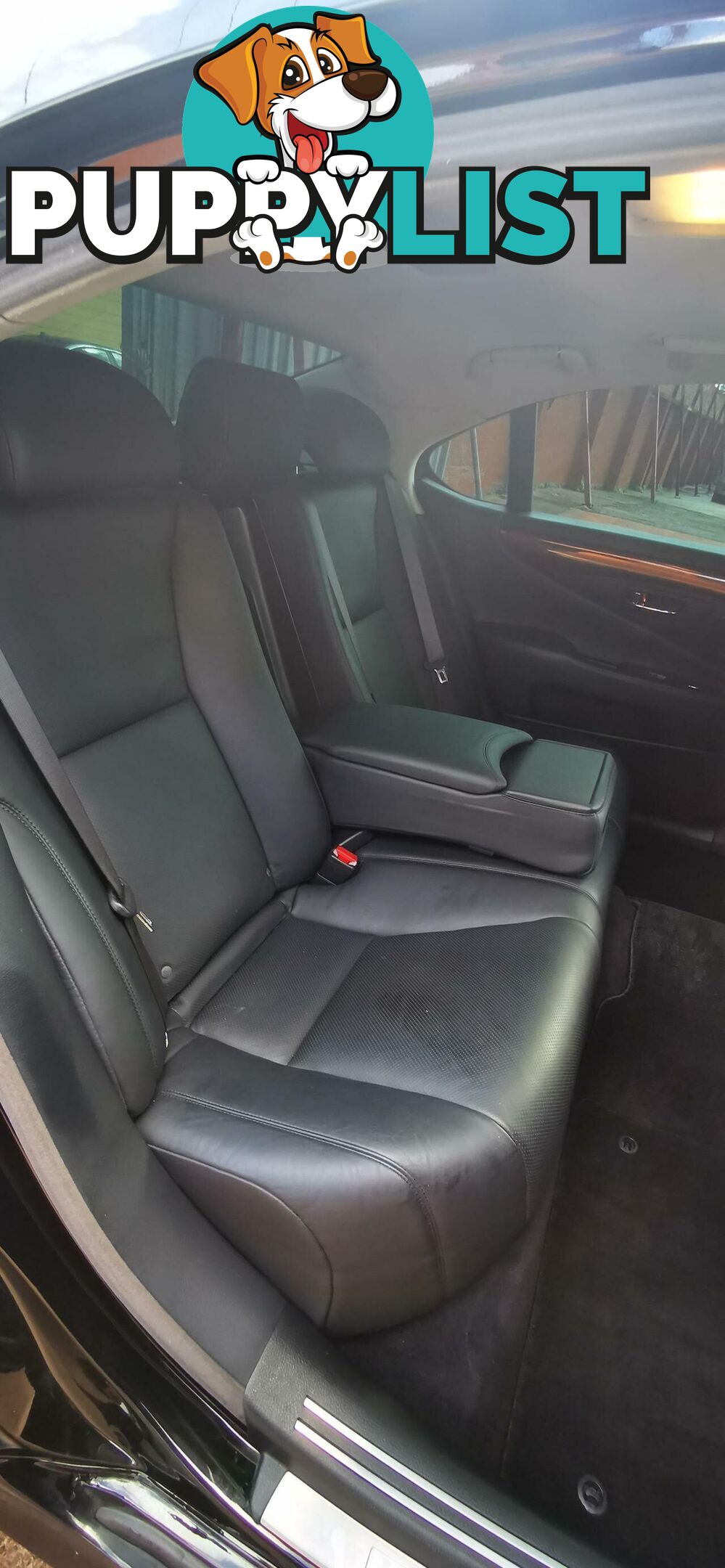 2009 LEXUS LS460  USF40R MY10 SEDAN