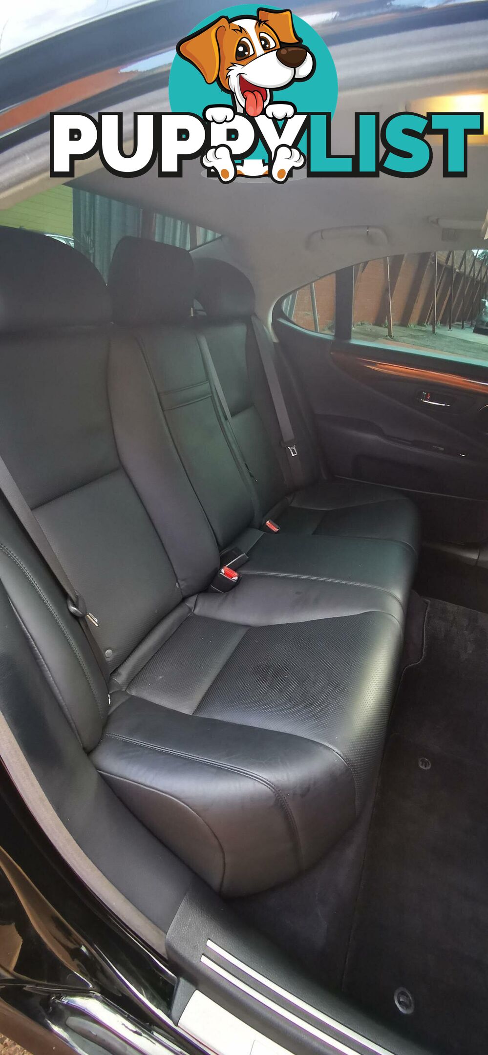 2009 LEXUS LS460  USF40R MY10 SEDAN