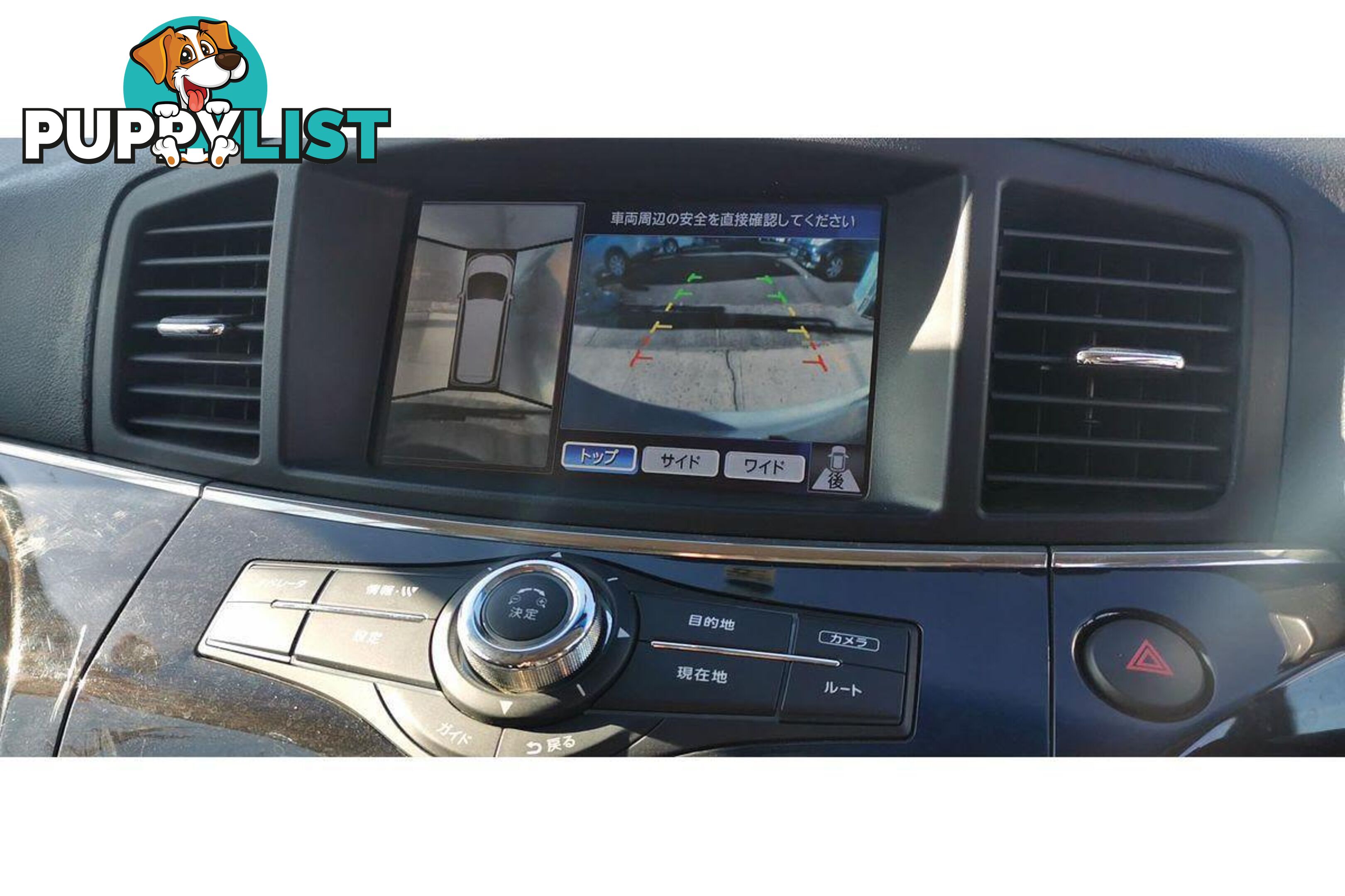 2010 NISSAN ELGRAND   OTHERCAR