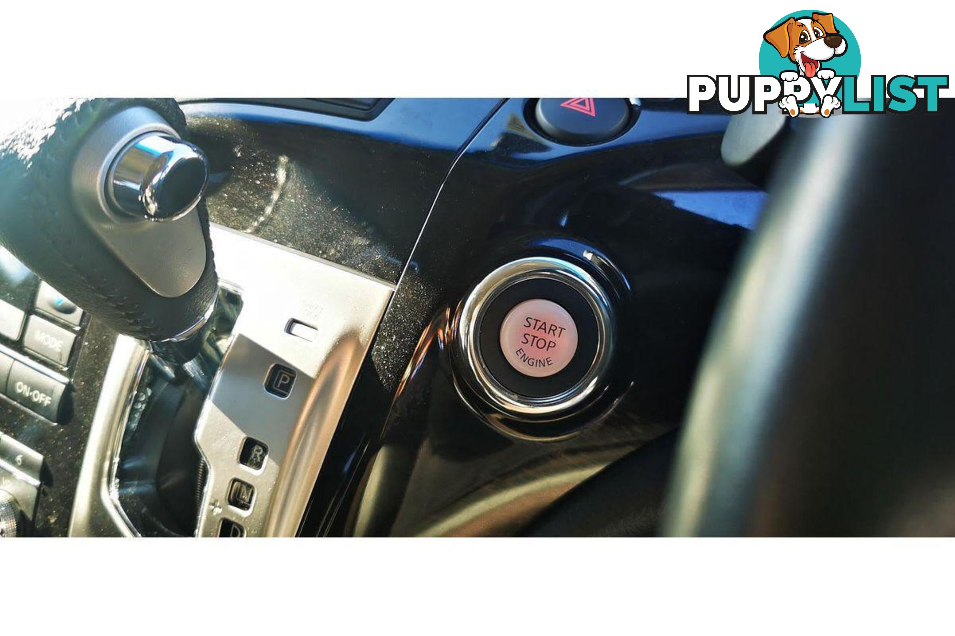 2010 NISSAN ELGRAND   OTHERCAR
