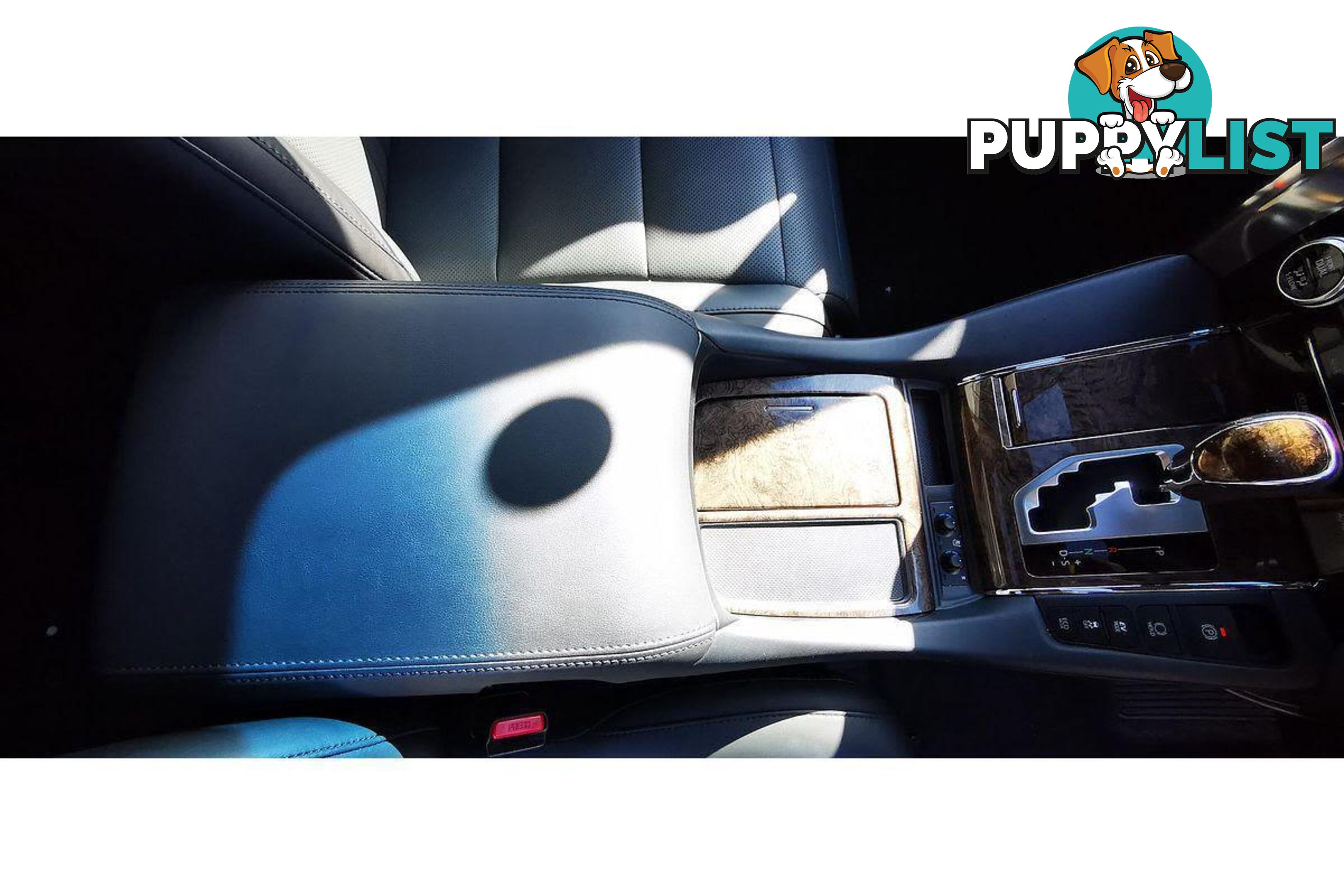 2023 TOYOTA ALPHARD   OTHERCAR