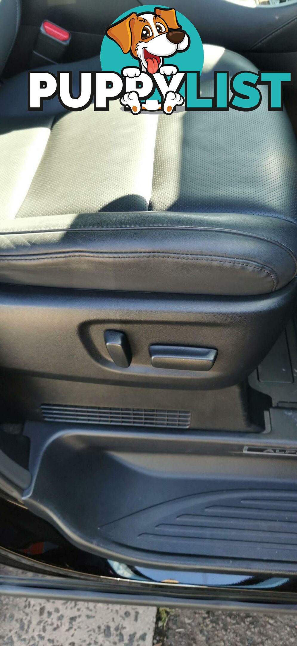 2023 TOYOTA ALPHARD EXECUTIVE LOUNGE S  COMMERCIAL