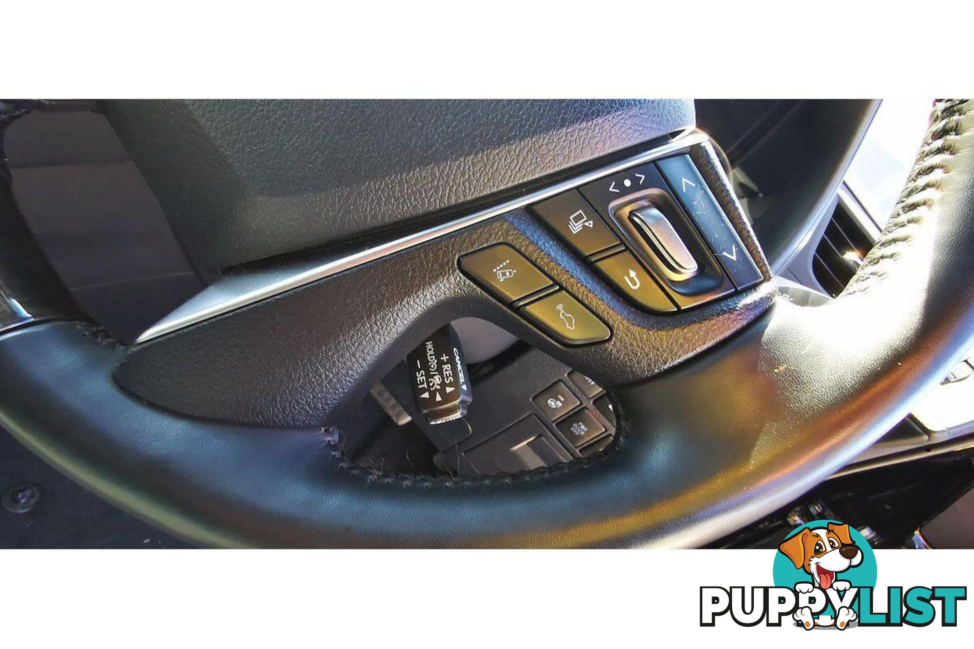 2023 TOYOTA ALPHARD   OTHERCAR