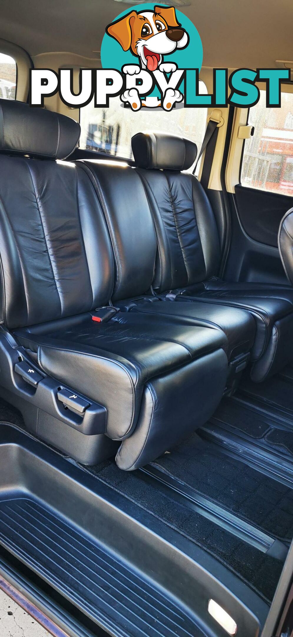 2007 NISSAN ELGRAND HIGHWAY STAR BLACK LEATHER EDITION  COMMERCIAL