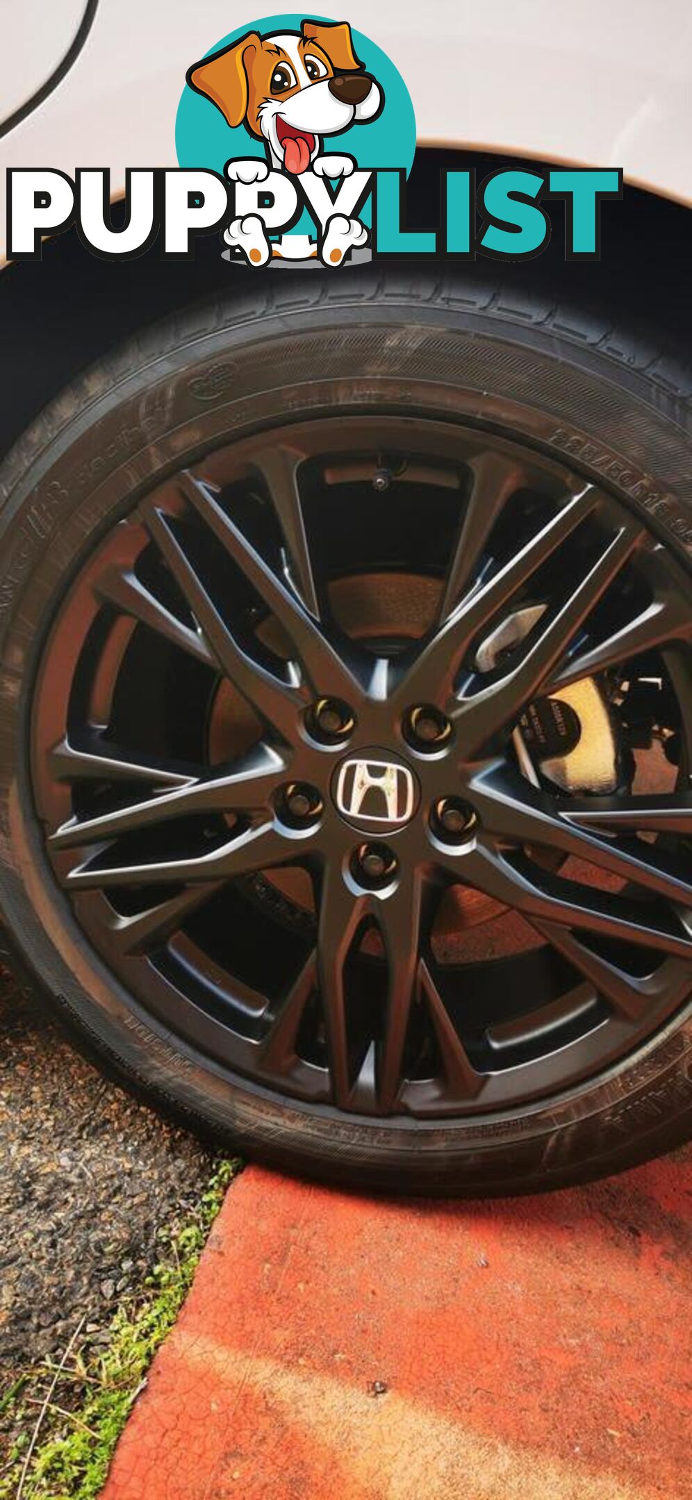 2025 HONDA ODYSSEY E:HEV ABSOLUTE EX BLACK EDITION  COMMERCIAL
